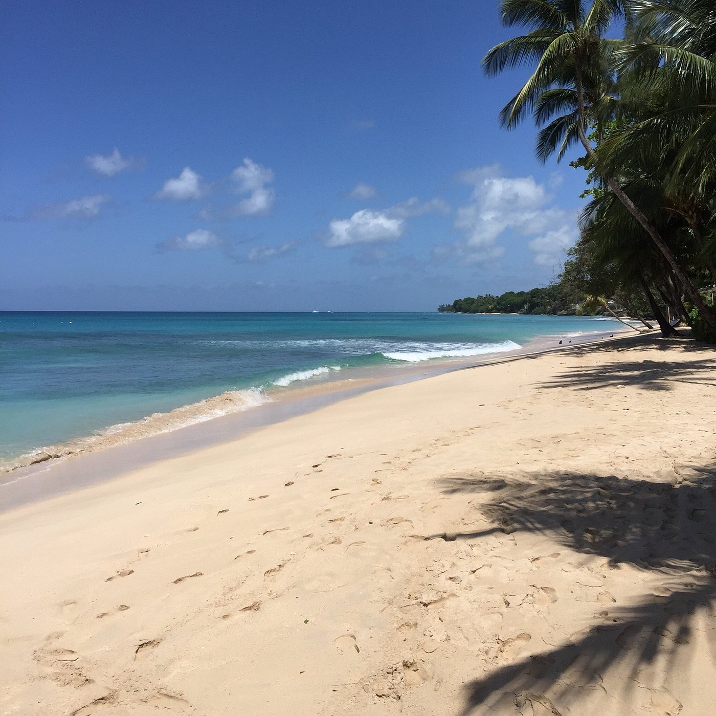 Peaceful palm-lined beach with soft sand and crystal-clear turquoise water