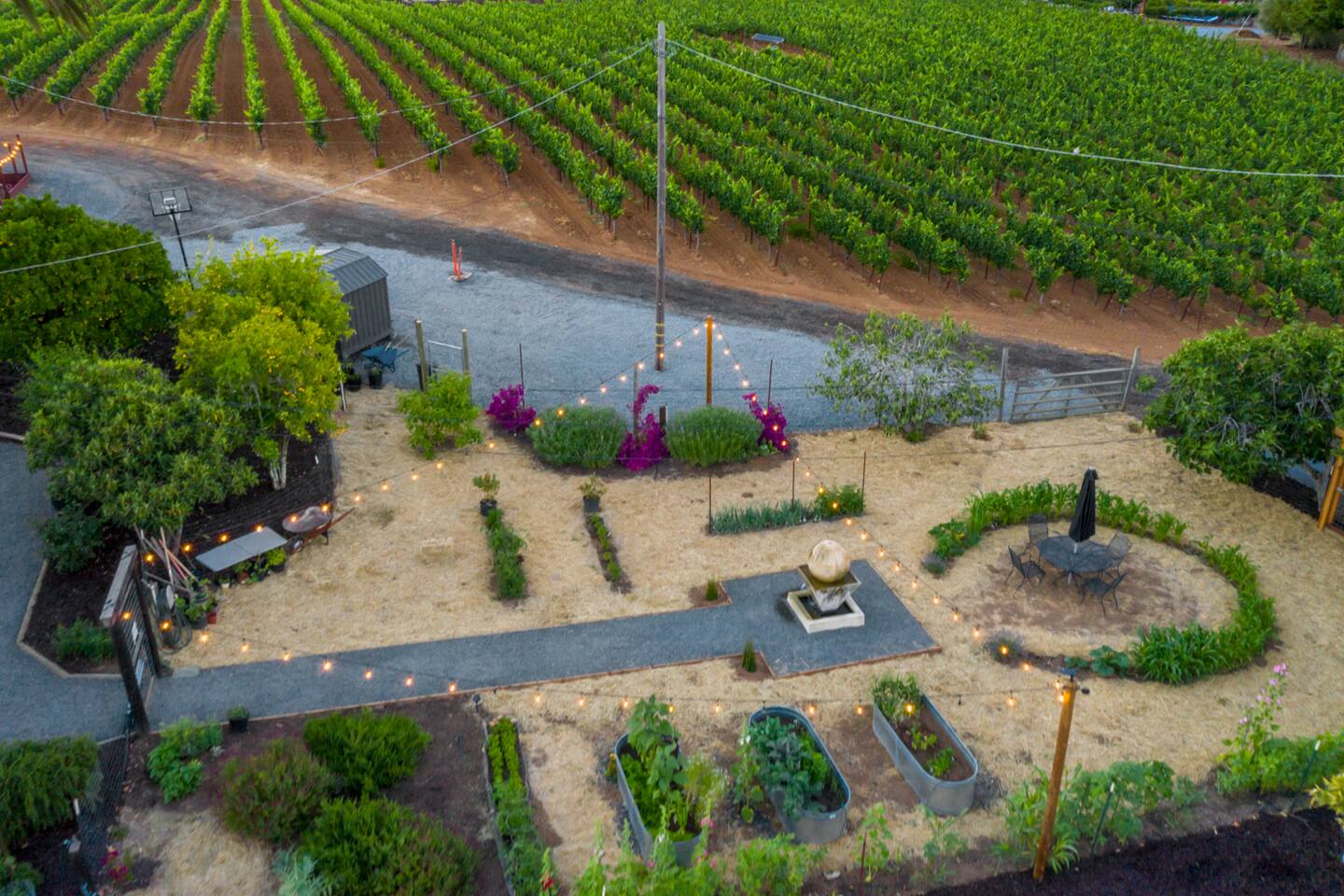 Walk through the organic garden with family, picking fresh vegetables and herbs, and feeling connected to the vibrant beauty of the ranch.