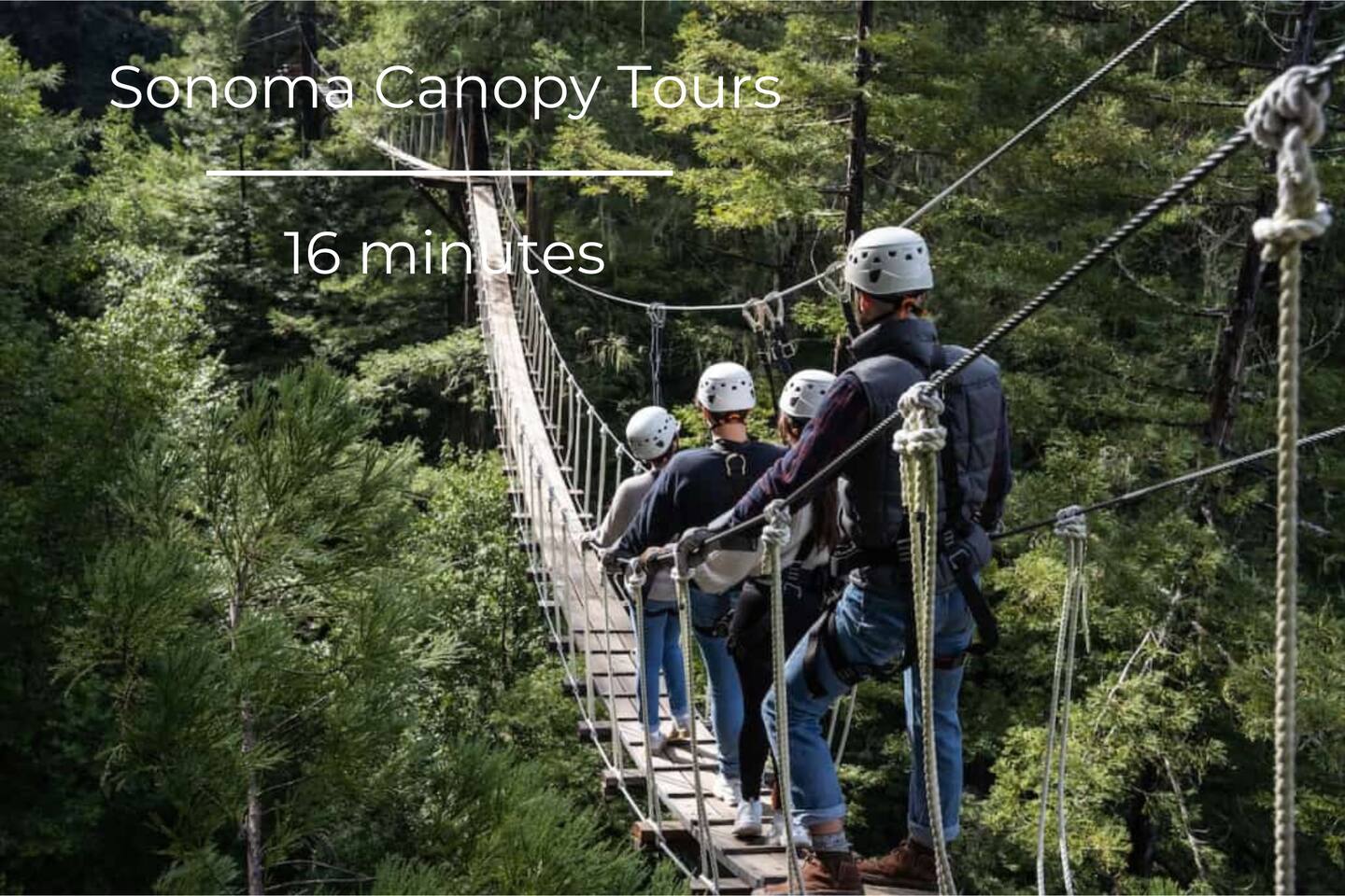 Adventure seekers will feel the thrill of zip-lining through breathtaking redwood forests, adding an exhilarating touch to their stay.