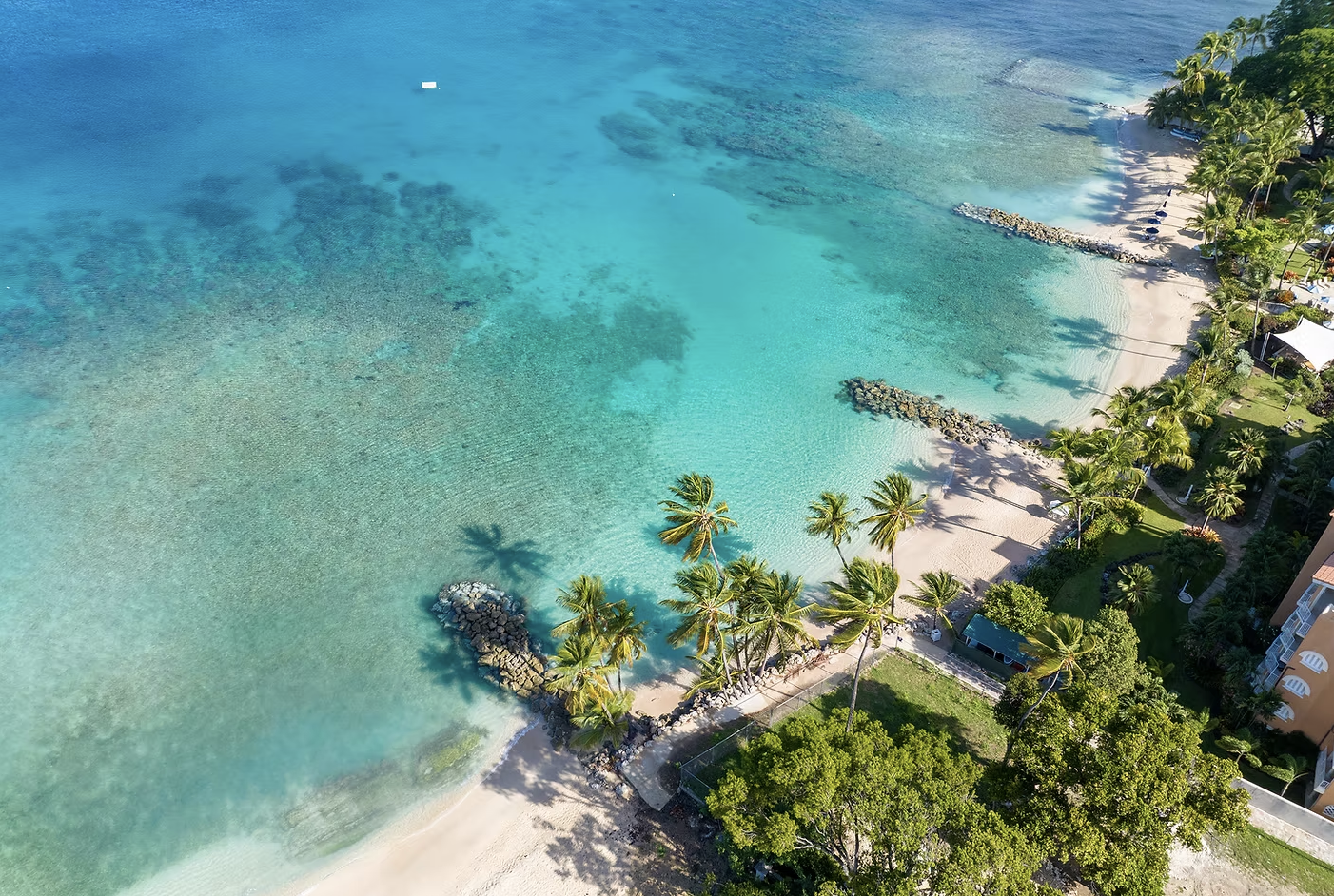 Aerial view of a palm-lined beach with calm turquoise waters