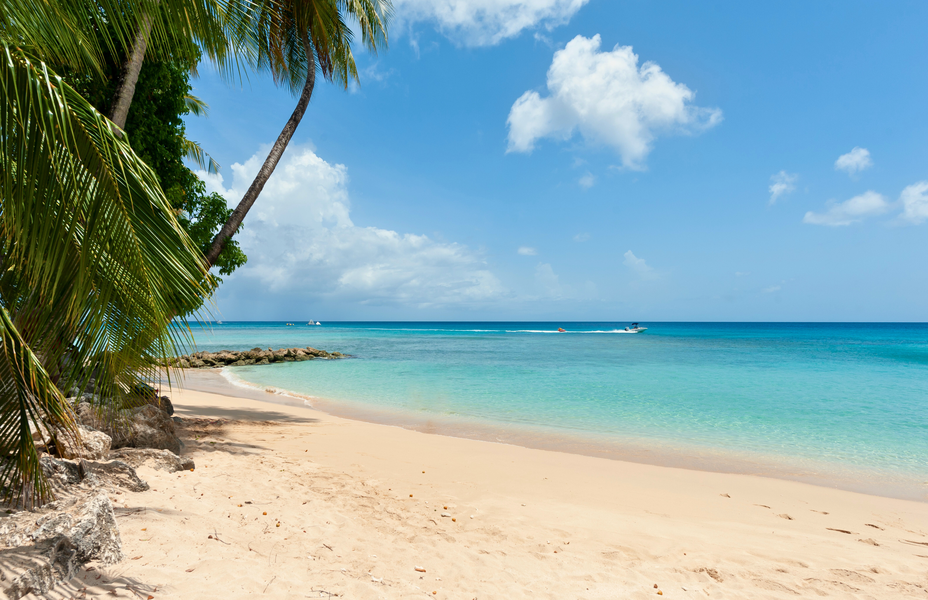 Tranquil palm-lined beach with turquoise water and soft white sand