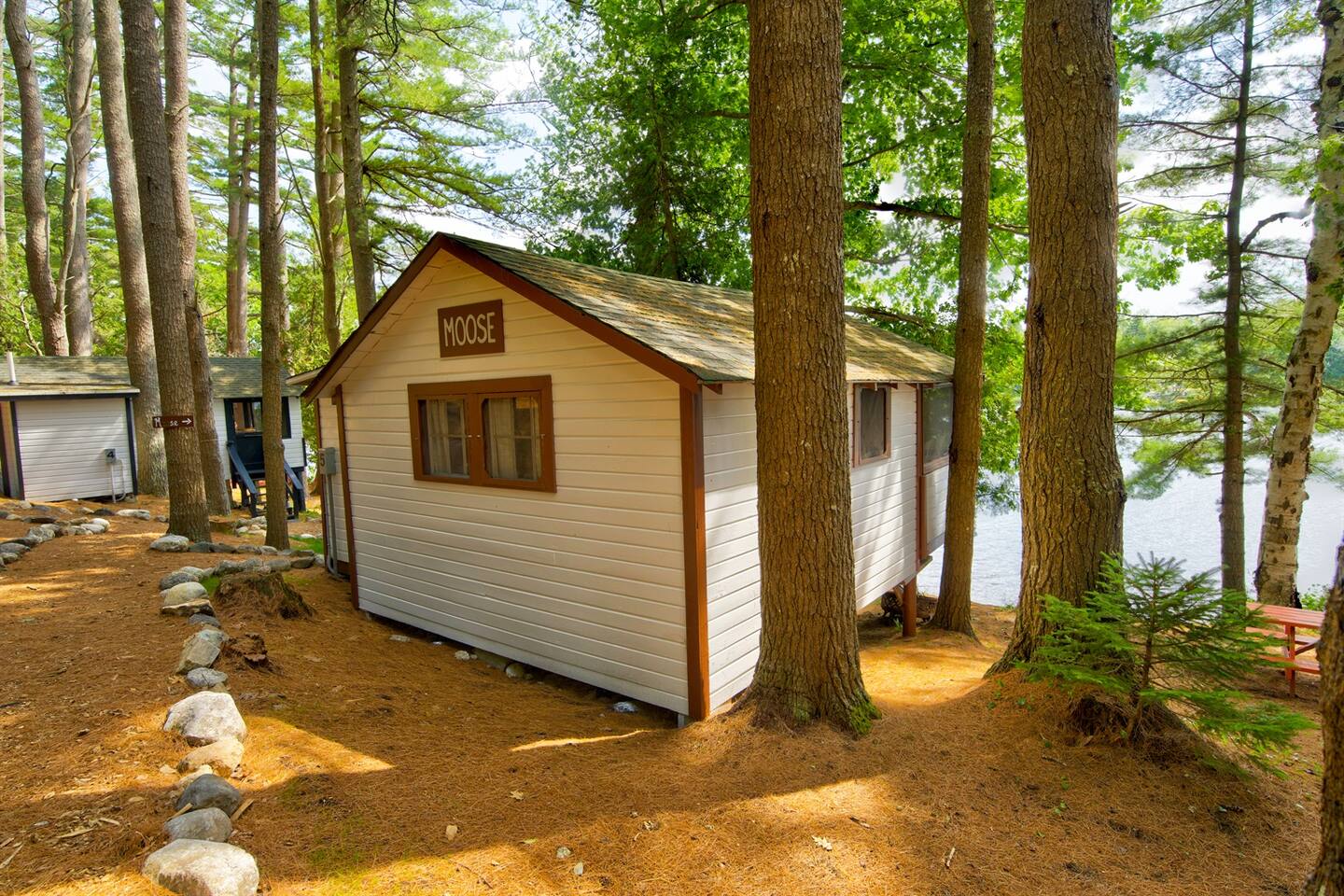 Lakefront Moose Tiny Cabin @ Getogether Stays