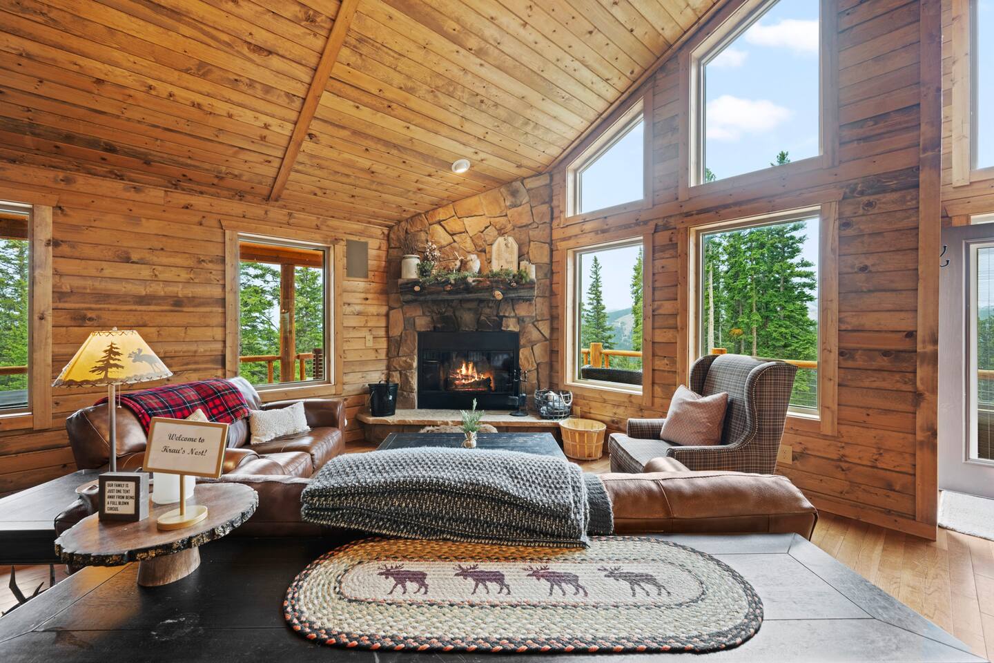 Mountain View Alpine Estate Private Fairplay Cabin with Hot Tub Fire Pit and Forest Views — 2