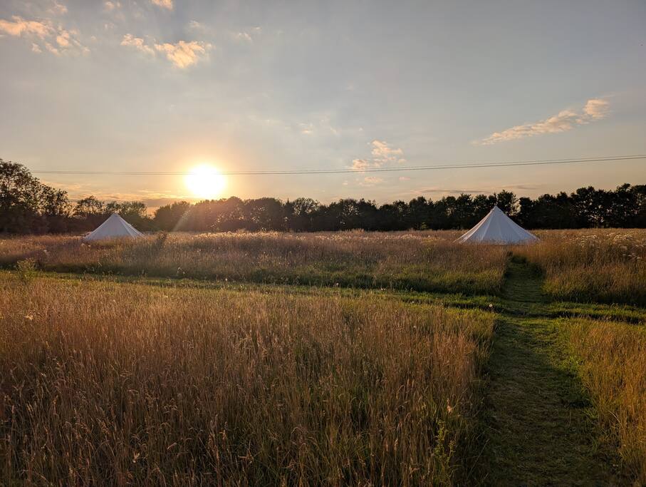Fox - Beautiful 6m bell tent on a smallholding