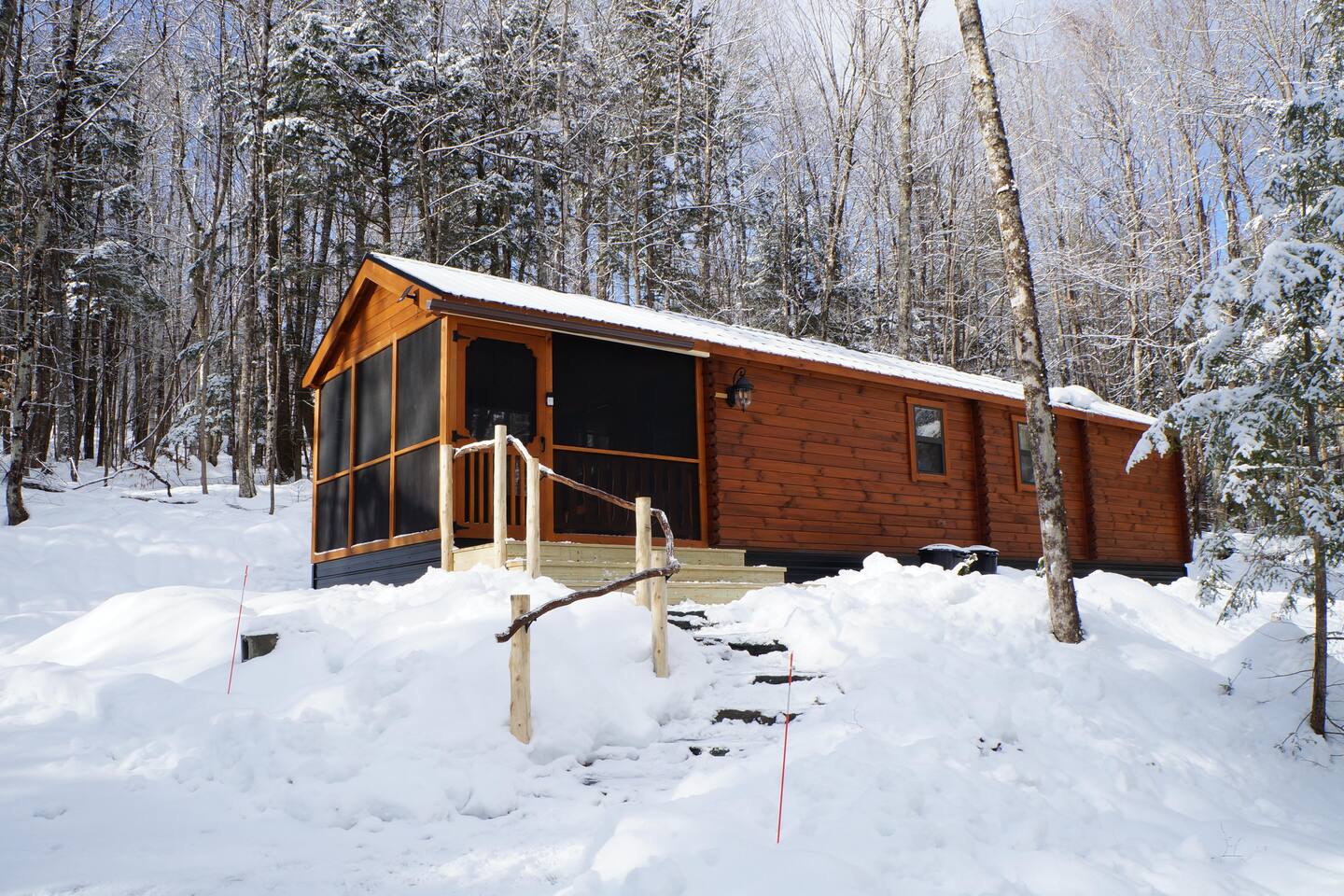 Alchemist's Cabin | Gothic Forest Retreat