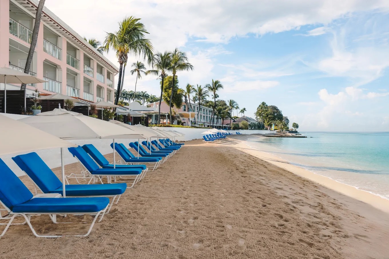 Relax on a palm-lined beach with loungers, umbrellas, and calm ocean views
