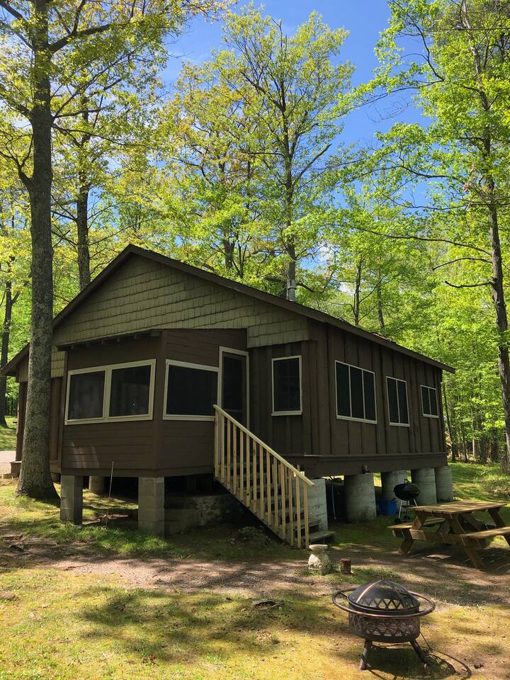 Welcome to The Pines Cabin-Hayward, WI