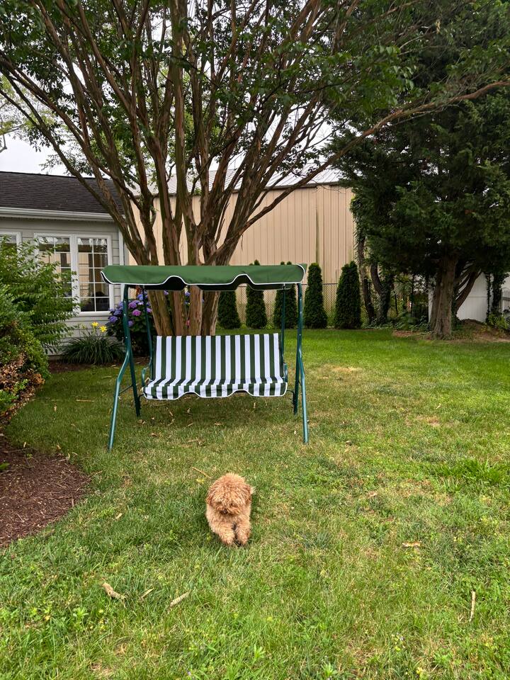 Ray of Sunshine-Dog Friendly, 4BR,furnished deck photo 47