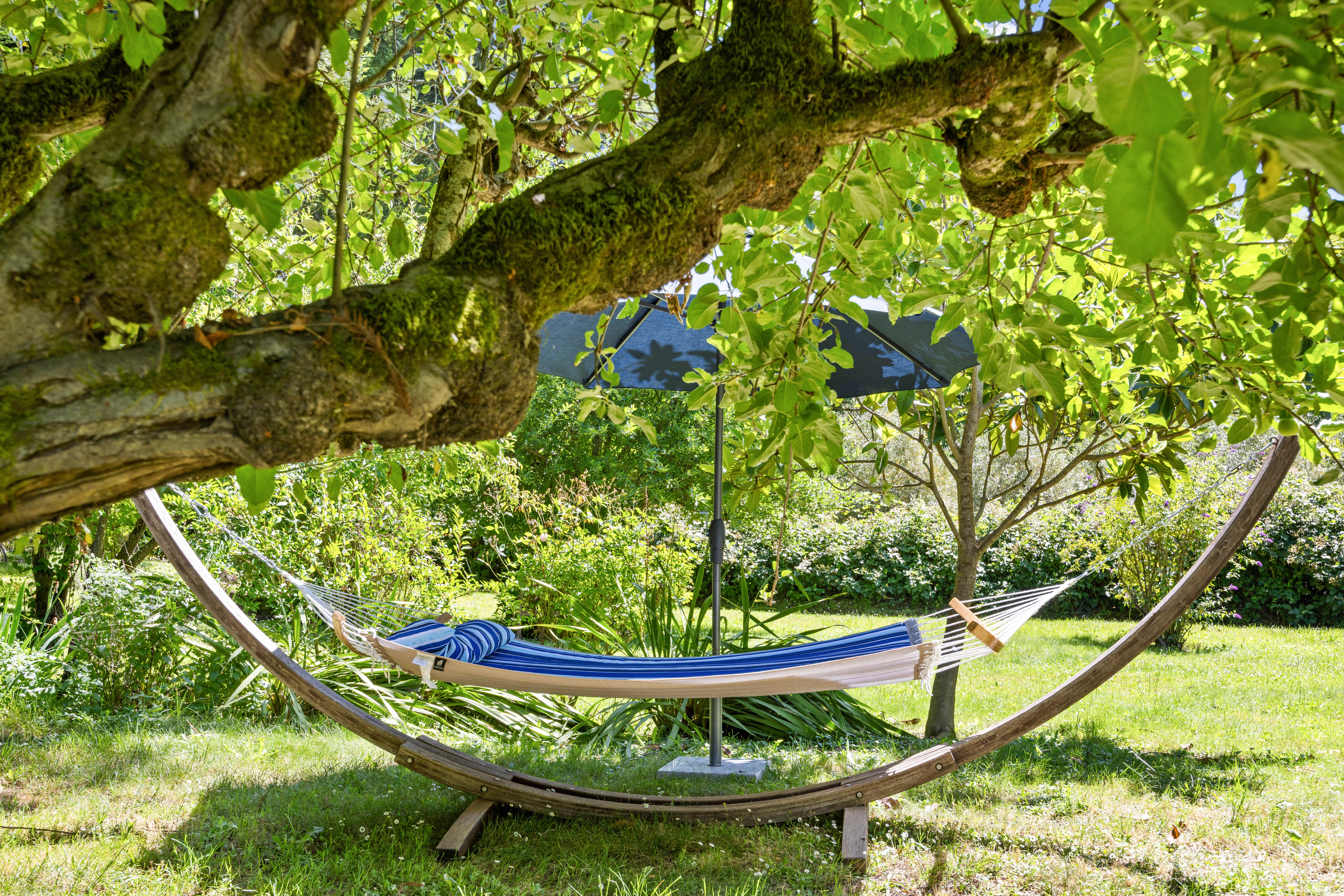 Shaded garden hammock beneath mature trees for peaceful outdoor lounging