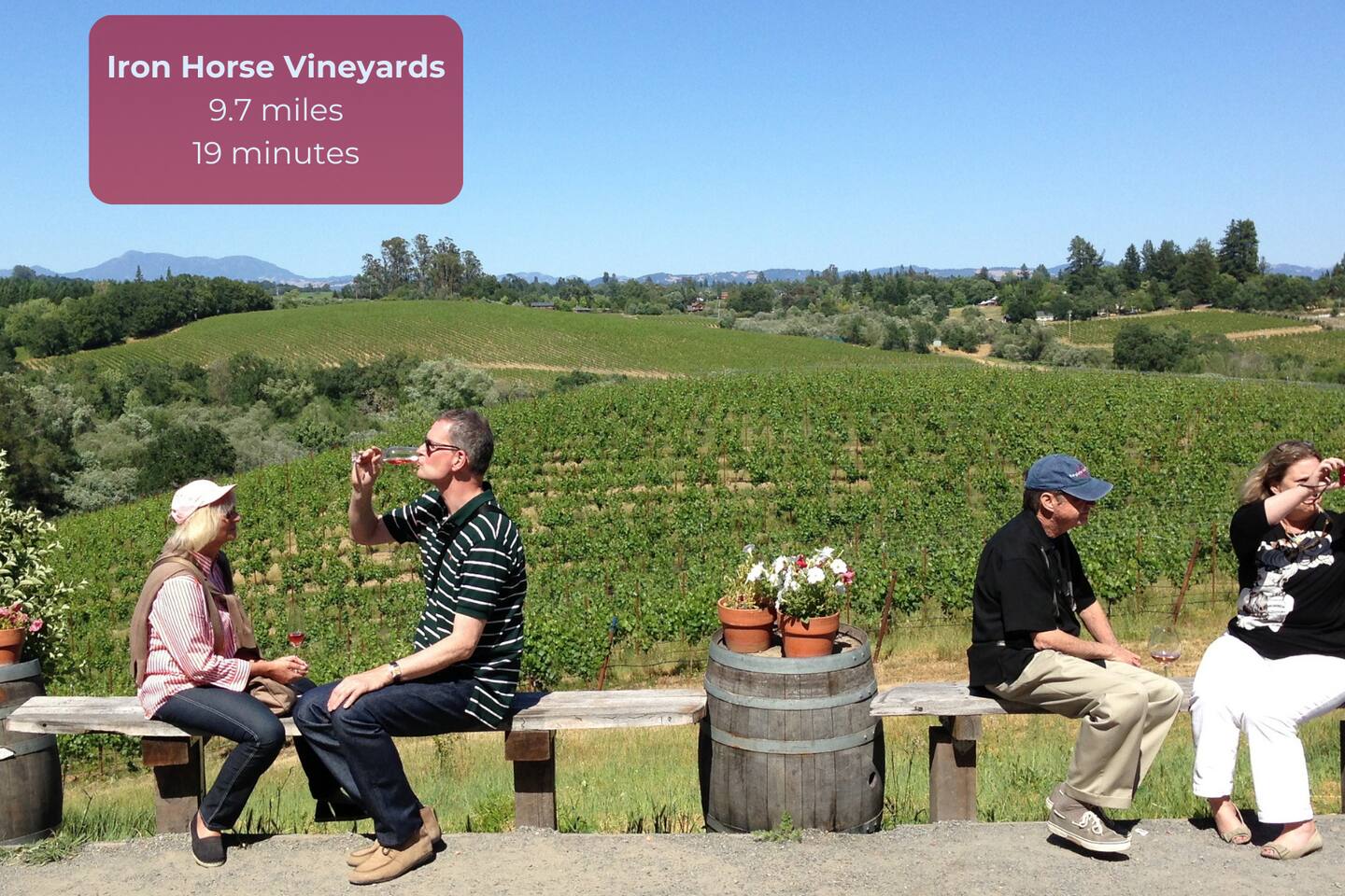 Visit Iron Horse Vineyards for a breathtaking experience! Enjoy stunning views, friendly vibes, and a serene escape in the heart of nature.