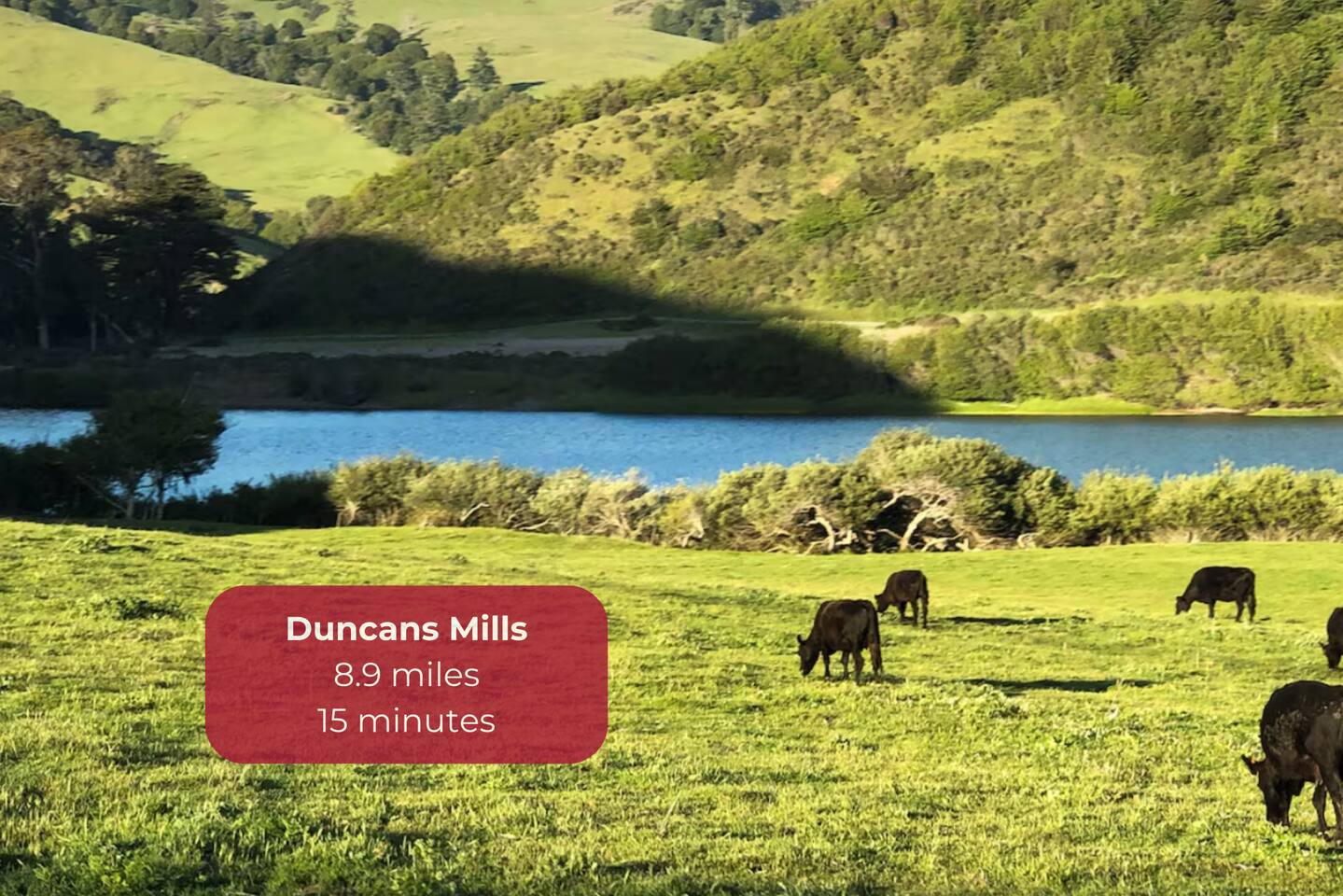 Explore the charm of Duncans Mills, a quaint town filled with unique shops, delightful eateries, and a relaxing small-town vibe—perfect for a day of browsing and unwinding.