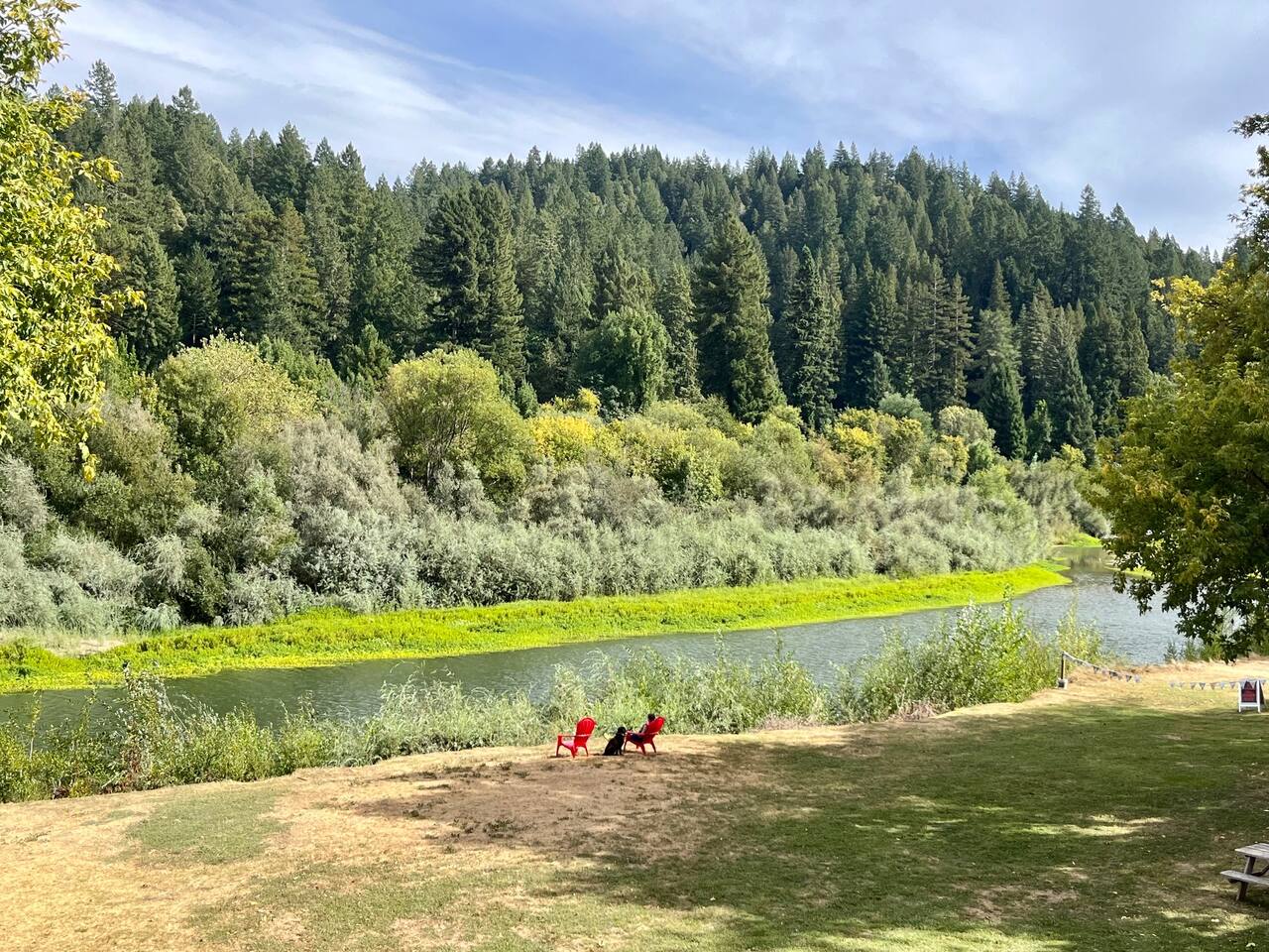 Take in the breathtaking view of the river, gracefully winding through a lush forest, creating a serene and peaceful escape.