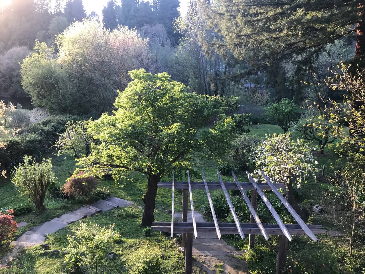 Immerse yourself in a lush garden surrounded by towering trees—a breathtaking and surreal escape into nature’s beauty.