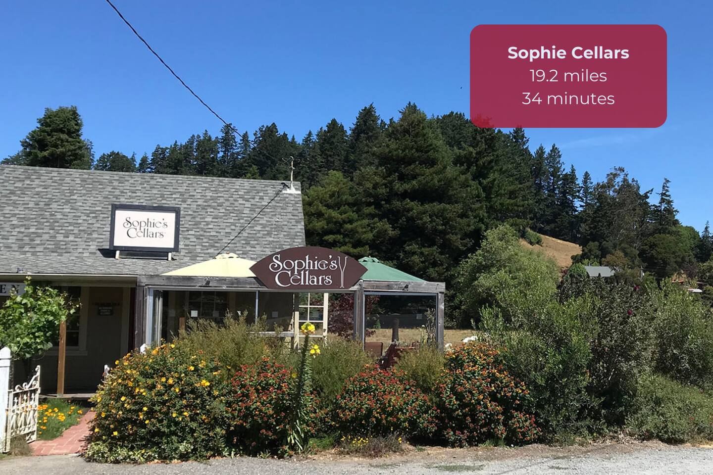 Discover the perfect blend of wine and charm at Sophie Cellars, a hidden gem offering a curated selection of local wines.