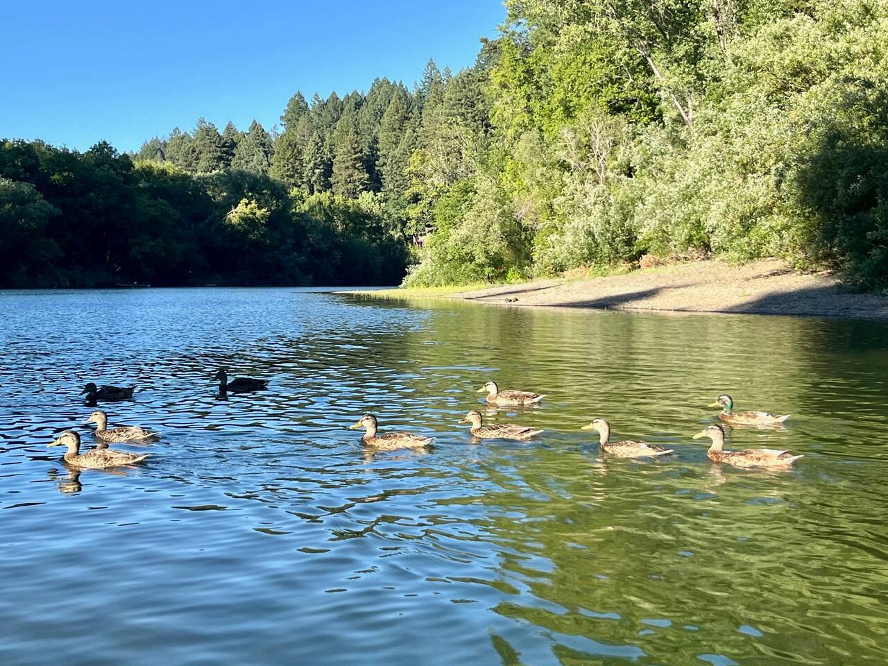 A treat for the eyes! Spot a variety of animals as you explore the beautiful surroundings, where nature comes alive.
