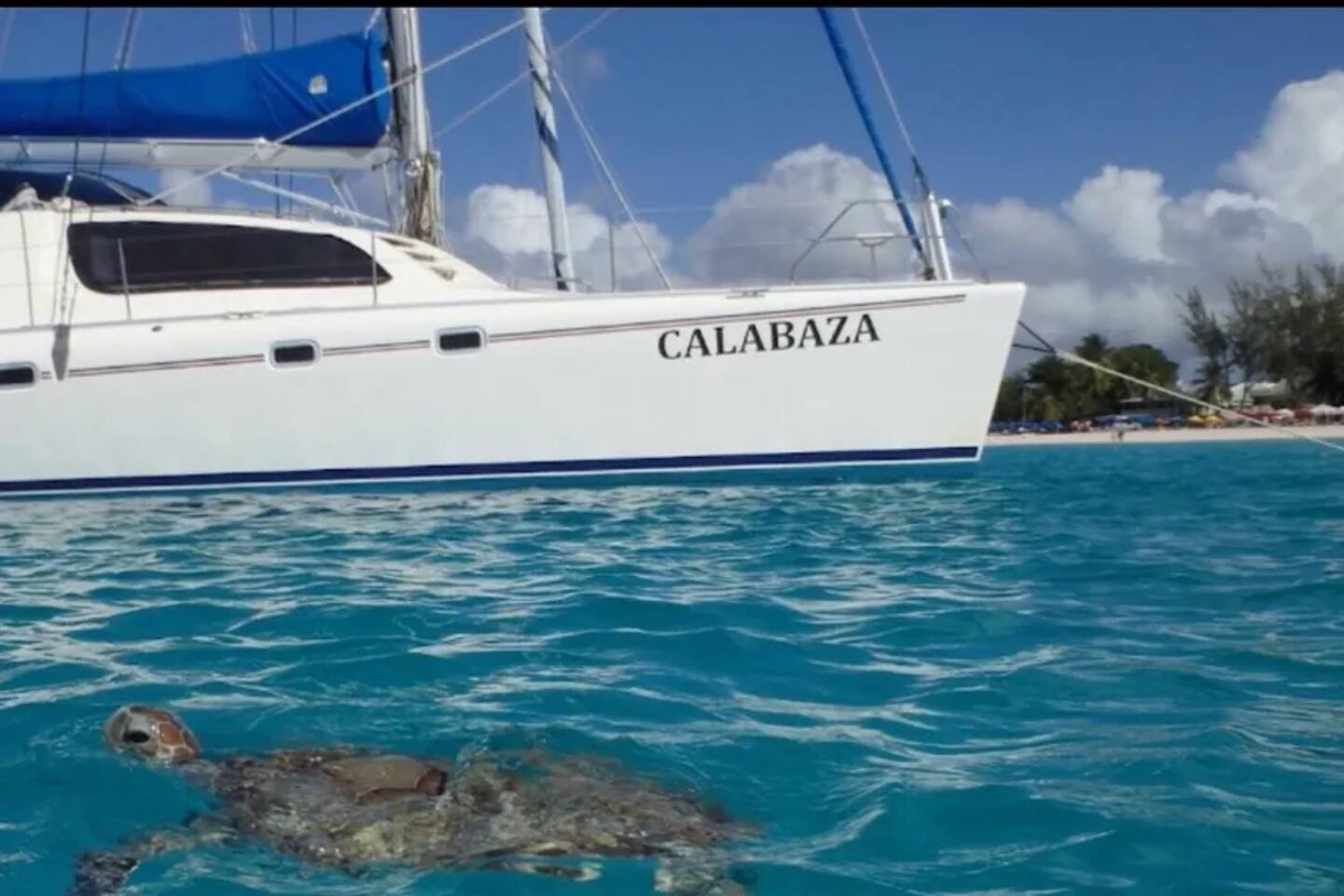 Calabaza Snorkeling and Sunset Cruises: (18 minute Taxi)