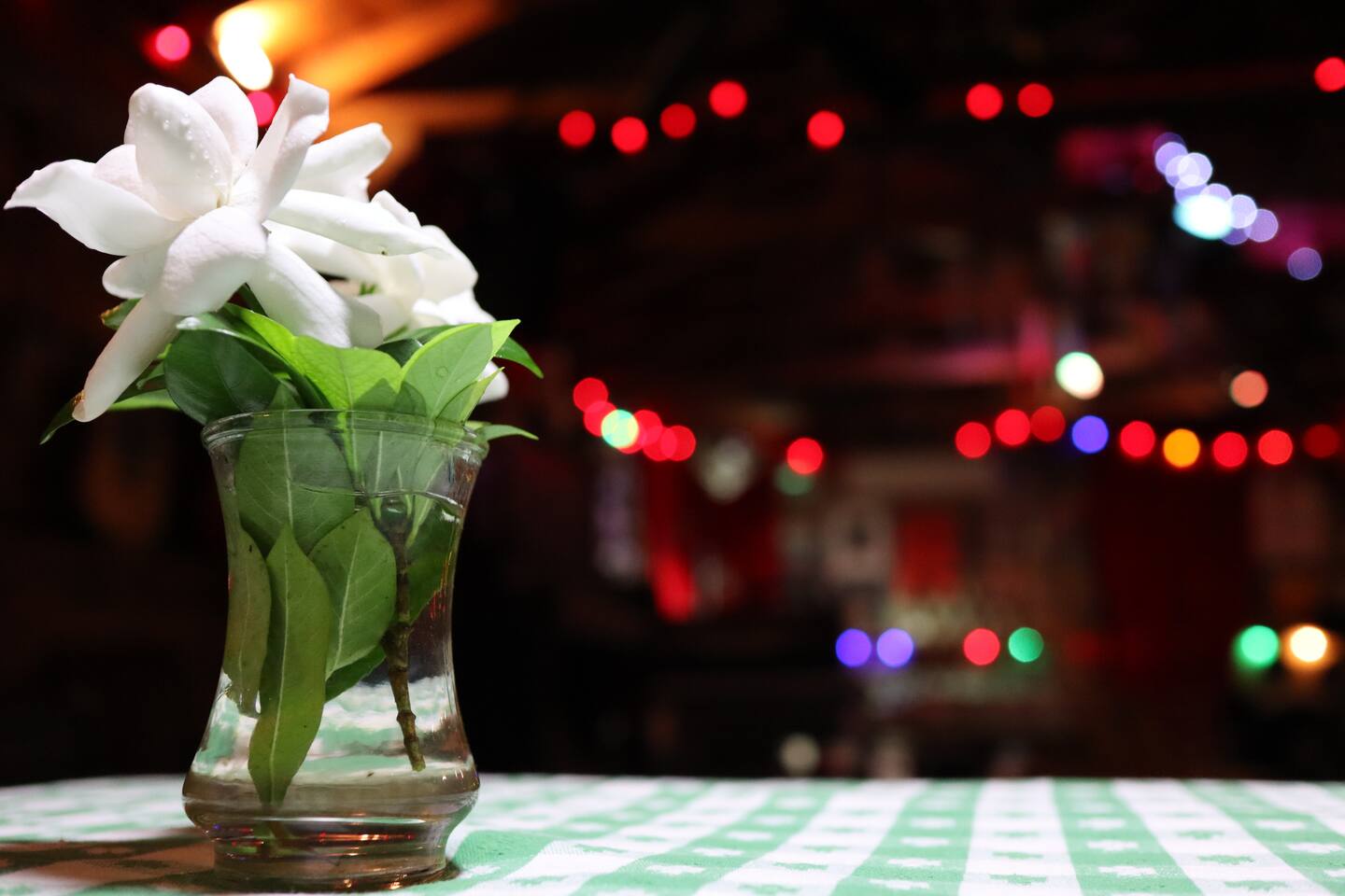 Live Inside a Folk Art Honkytonk – 2BR Retreat