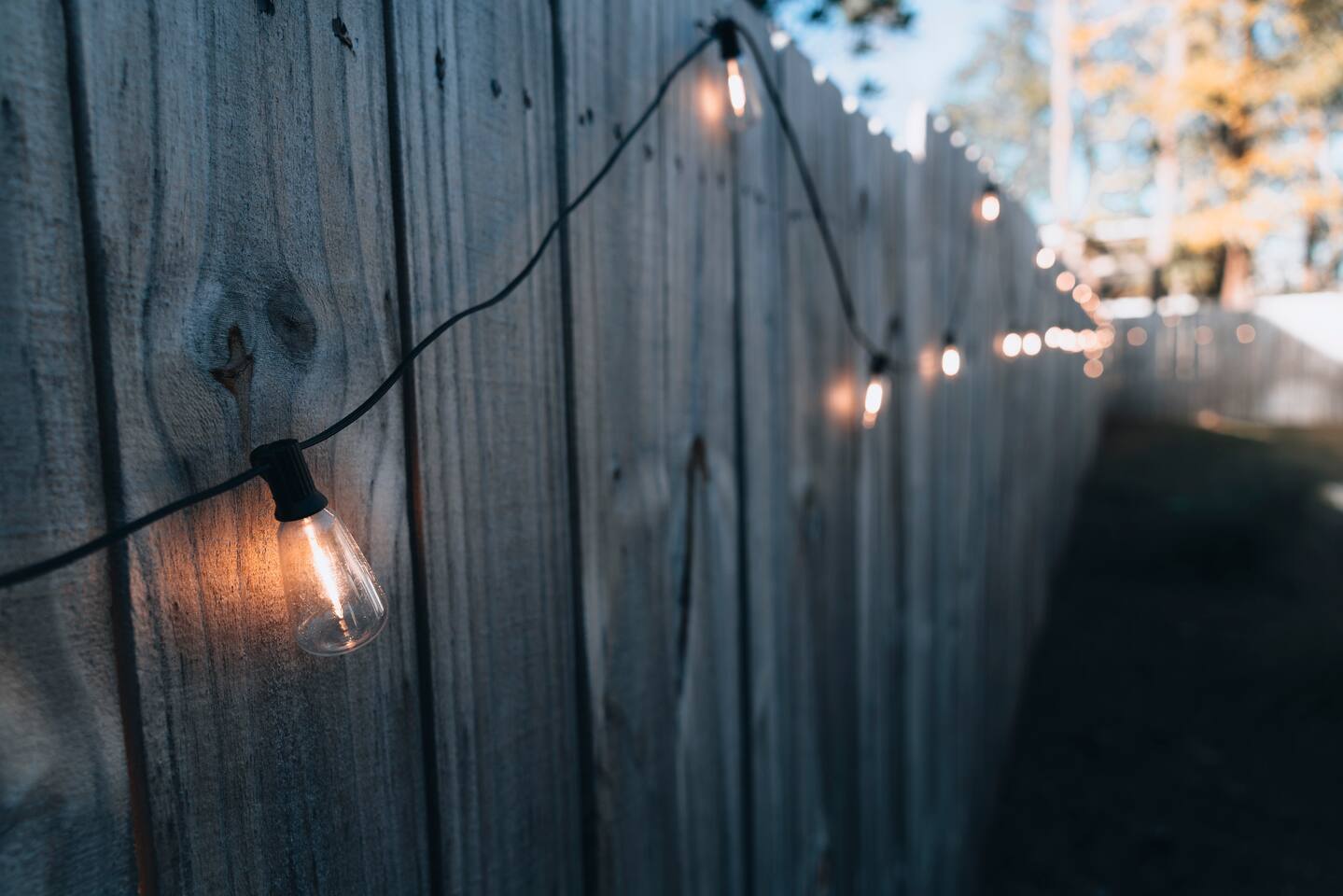 String lights glowing along the wooden fence at dusk