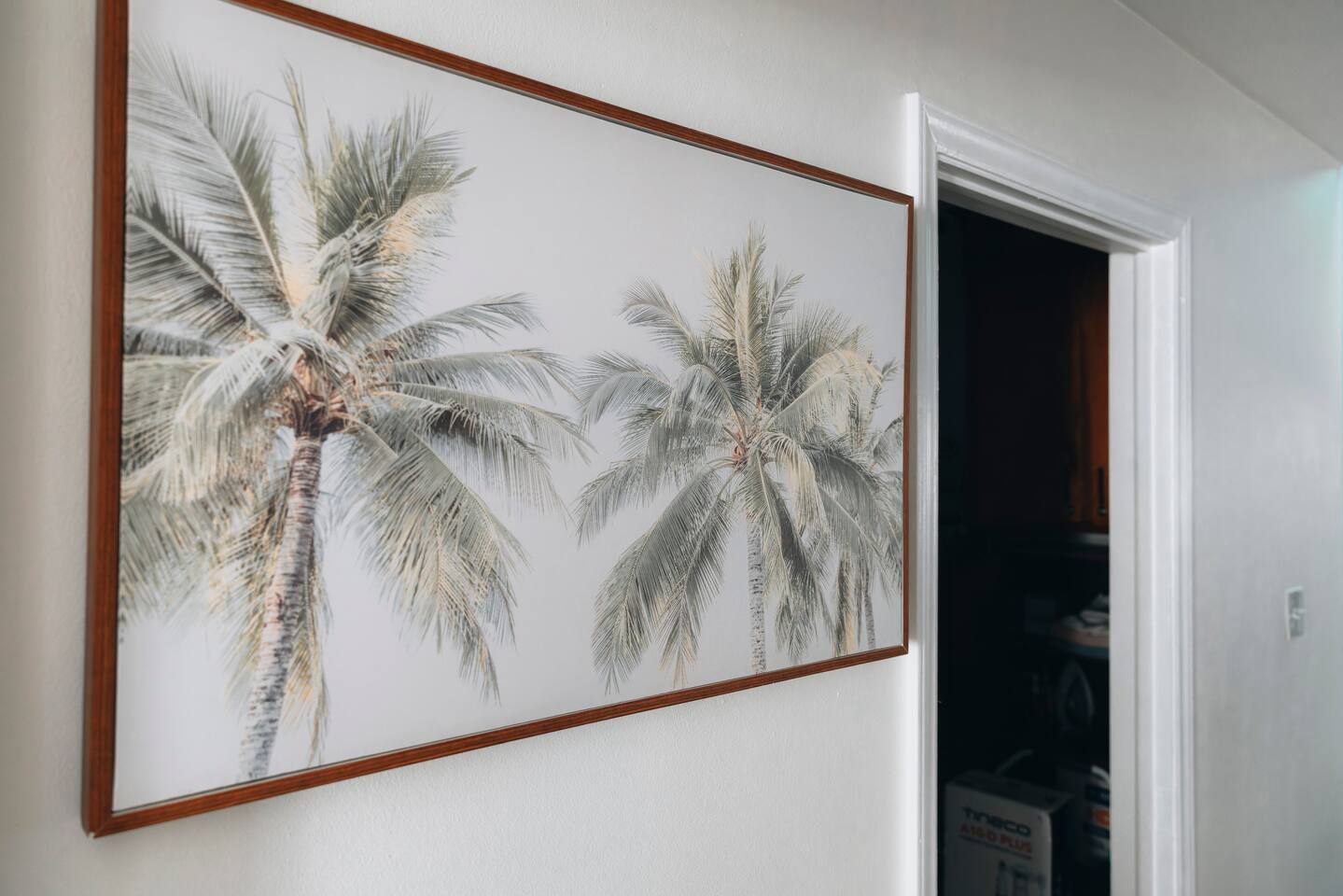 Framed palm tree print in the hallway beside a storage closet