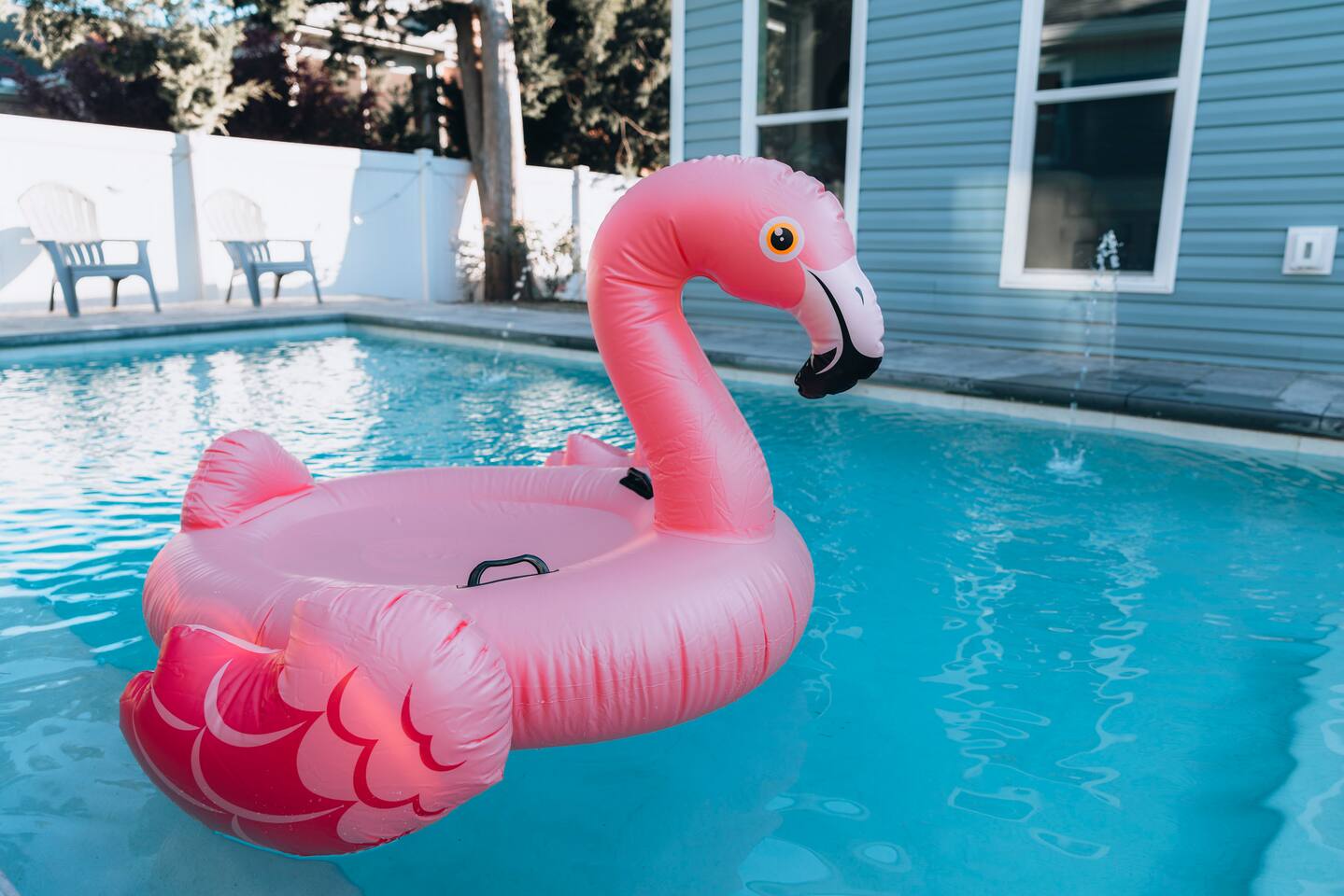 Pink flamingo float on the pool, with deck chairs beyond the fence