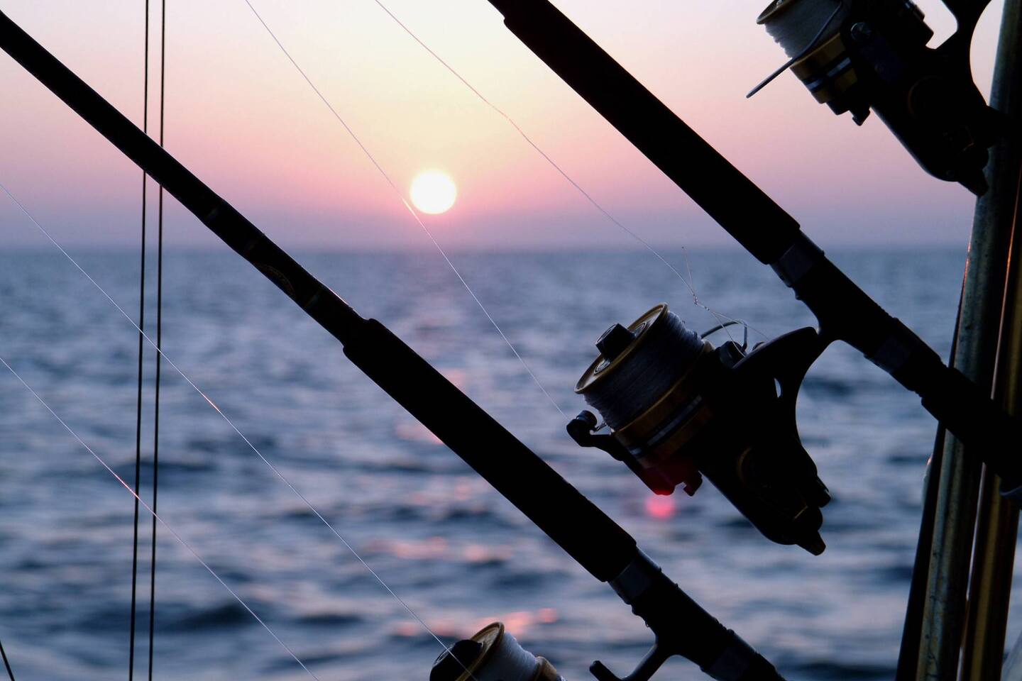 Property thumbnail 42