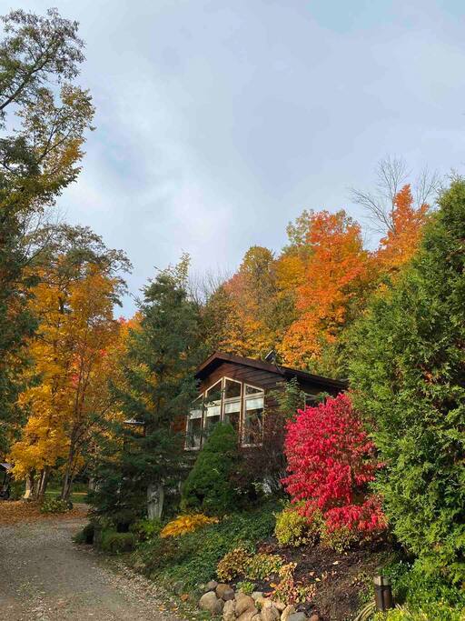 Escape to Tranquility – Hockley Valley Retreat
