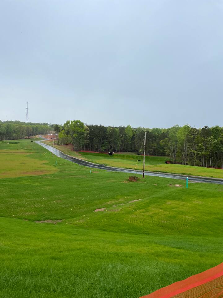 View from back patio