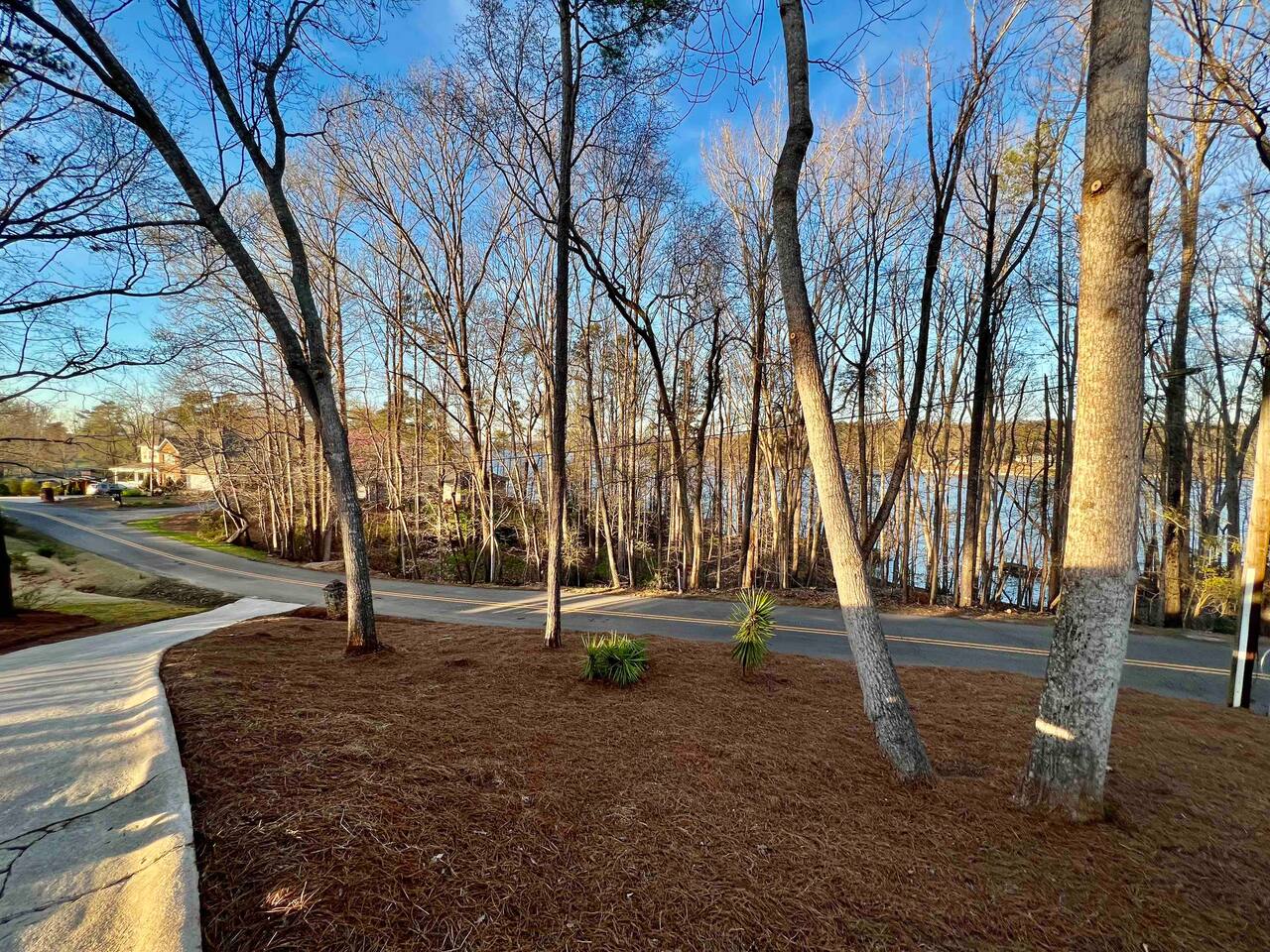 View of the Lake from the front yard
