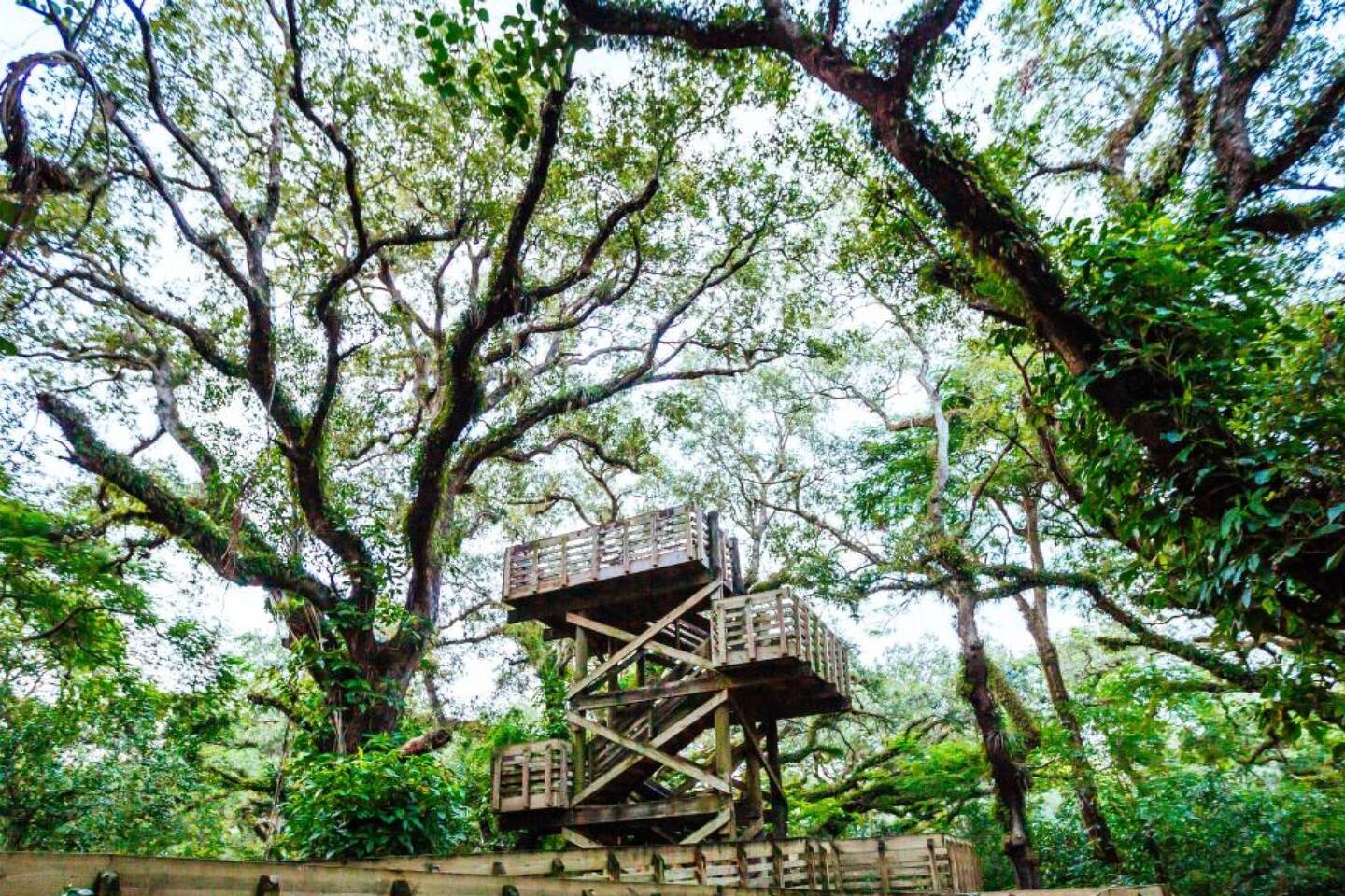 Property thumbnail 41