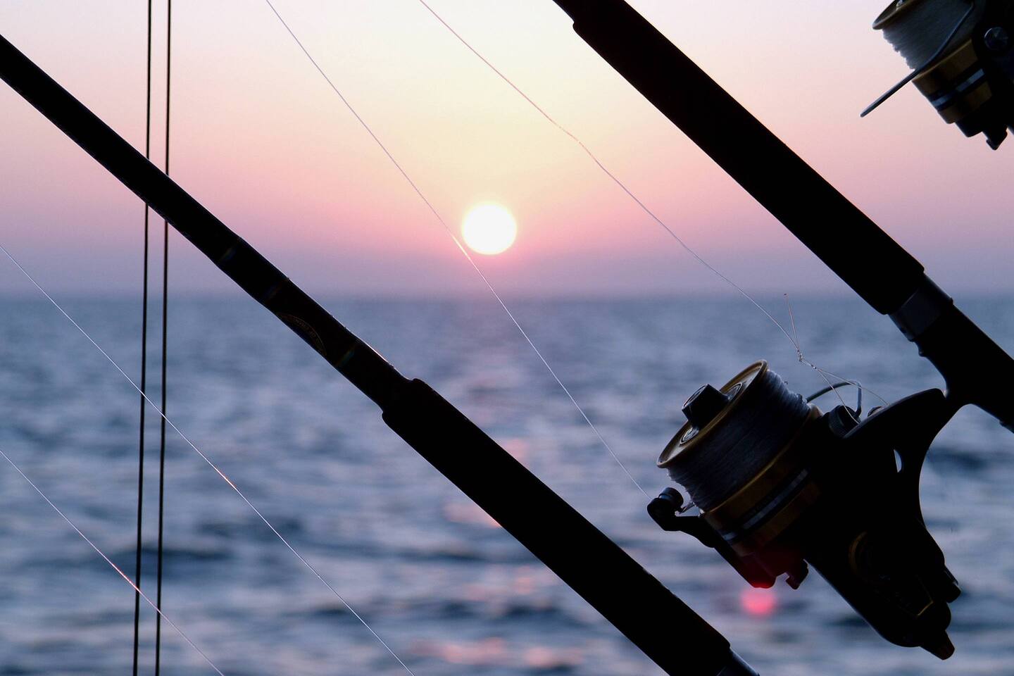 Property thumbnail 44