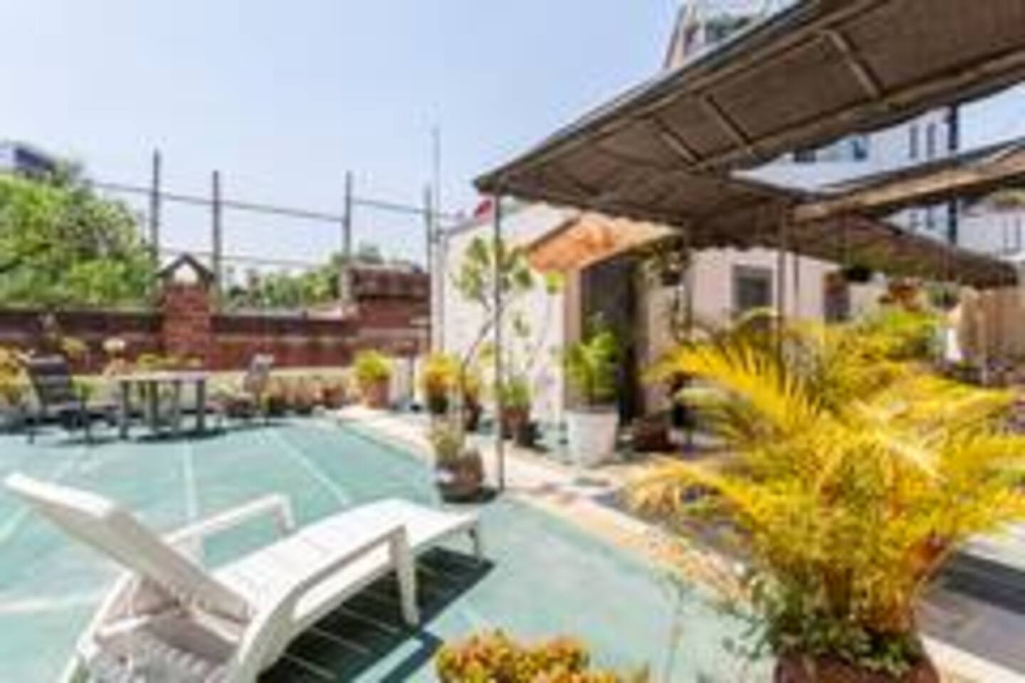 Discover Condesa from the Famous Mexico Park - foto 3