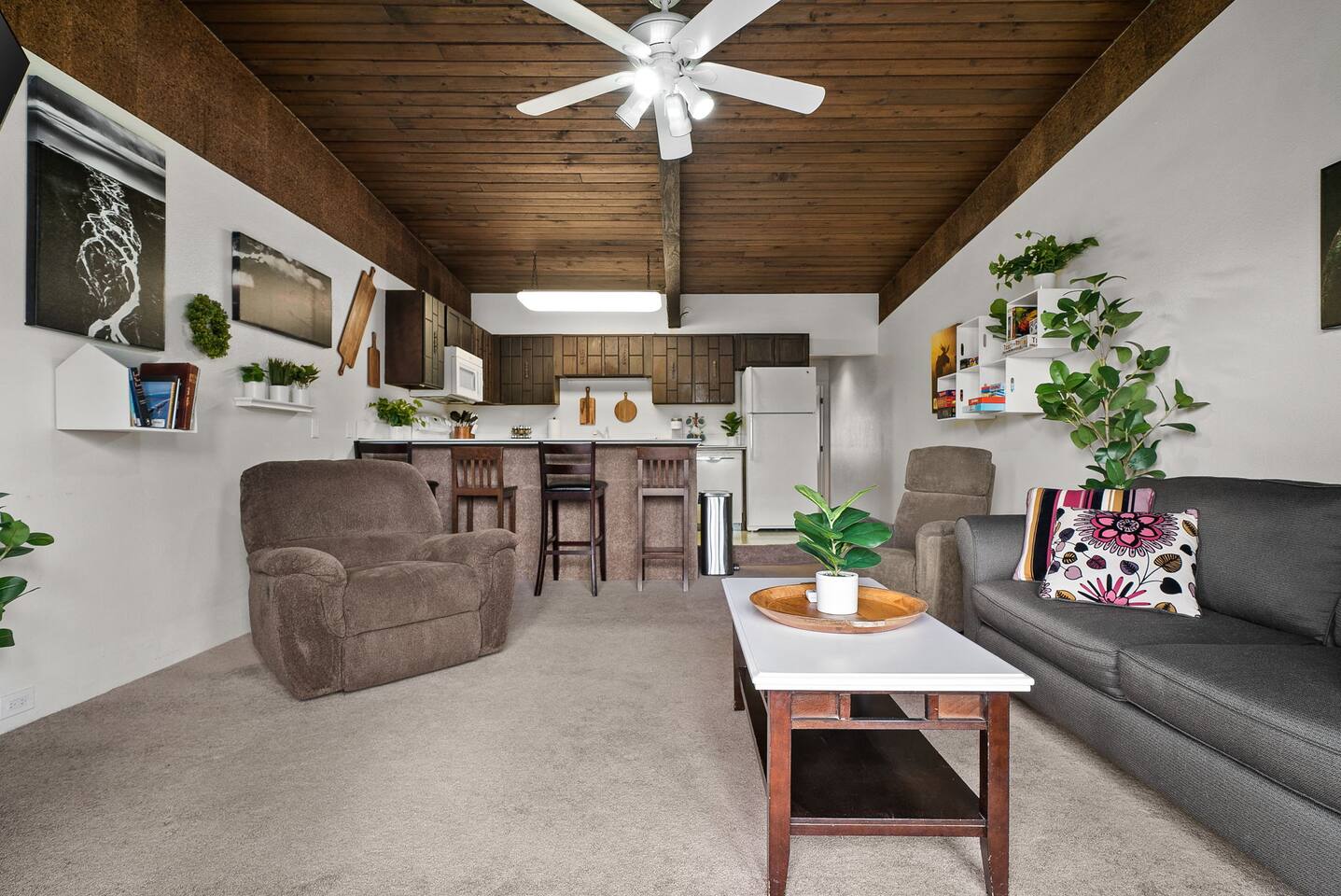 Alaskan Dreamscape Loft (5)