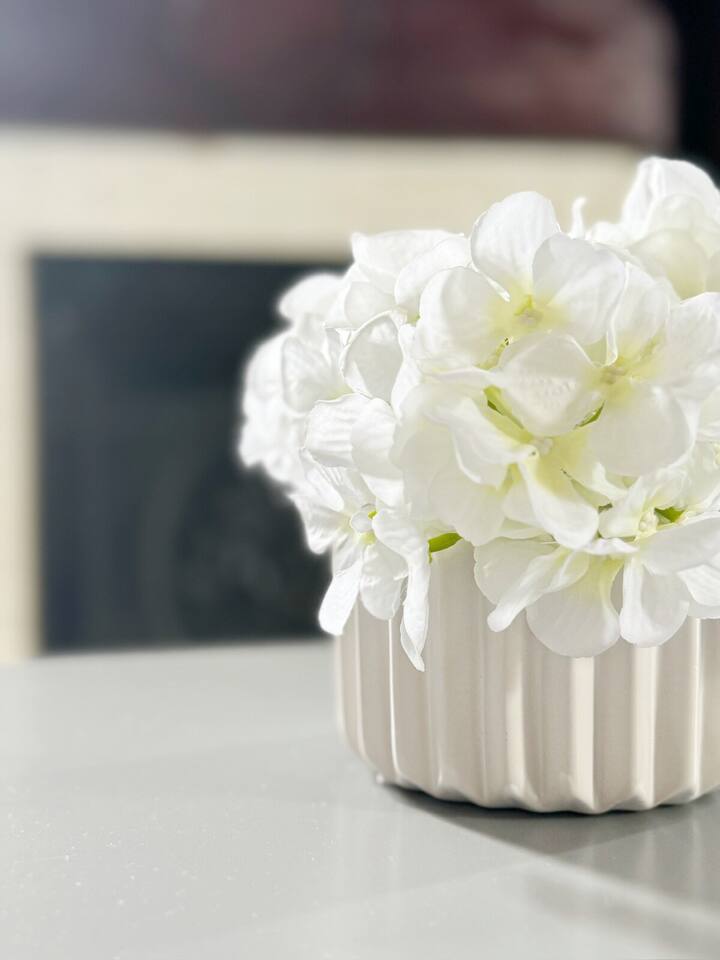 Chandler E | KING 1BD/1BA Studio Apt near Downtown