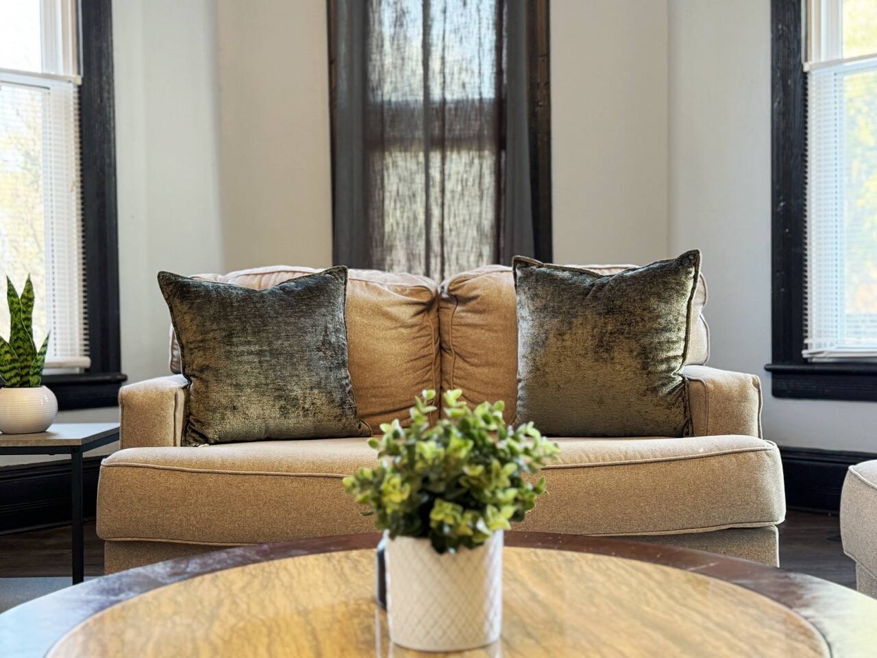 Chandler Studio Apartments photo 2