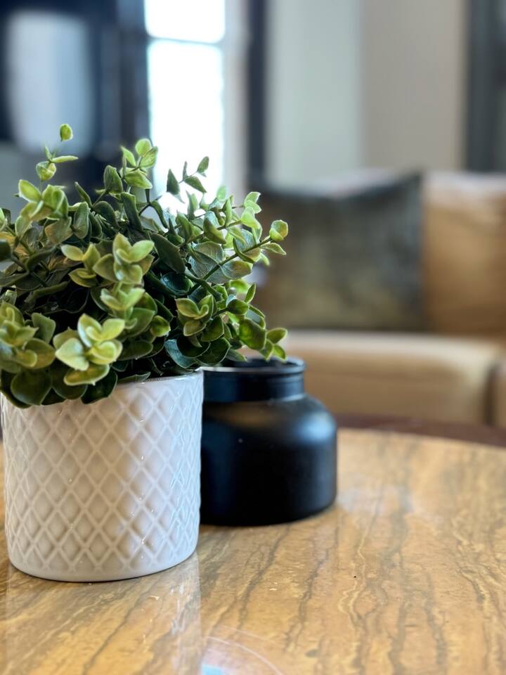 Chandler Studio Apartments