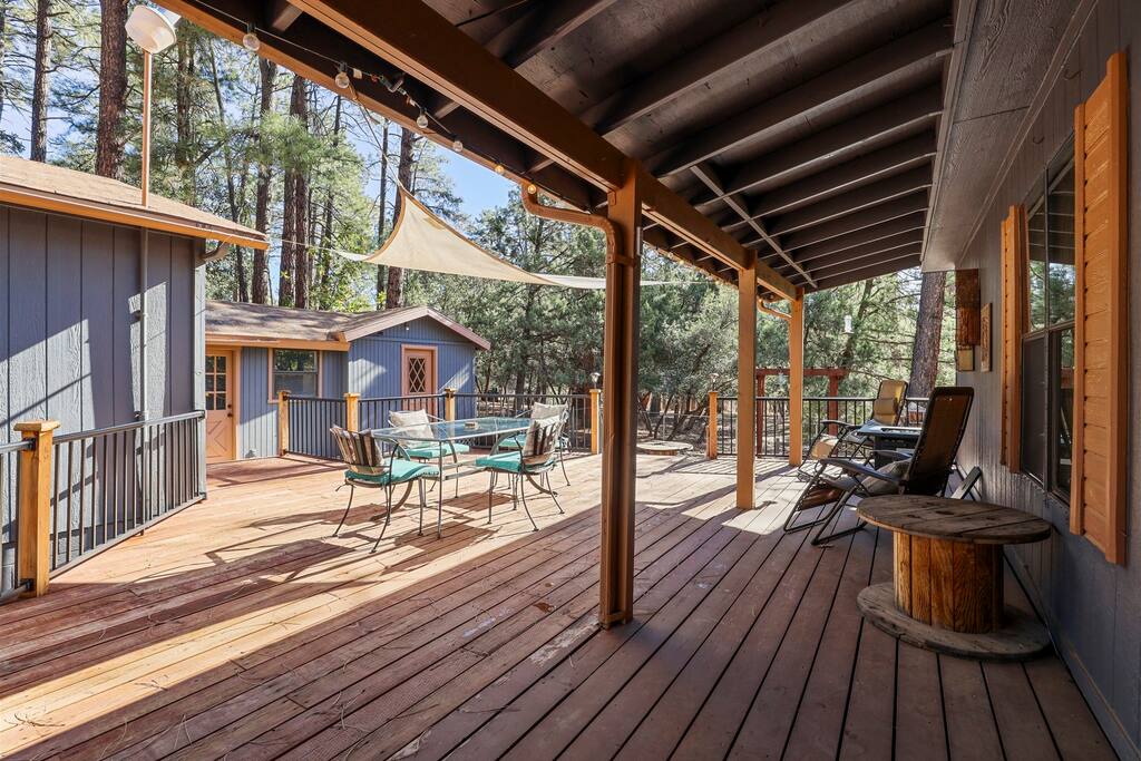 Surrounded by Pine Trees | Wildlife | Peaceful