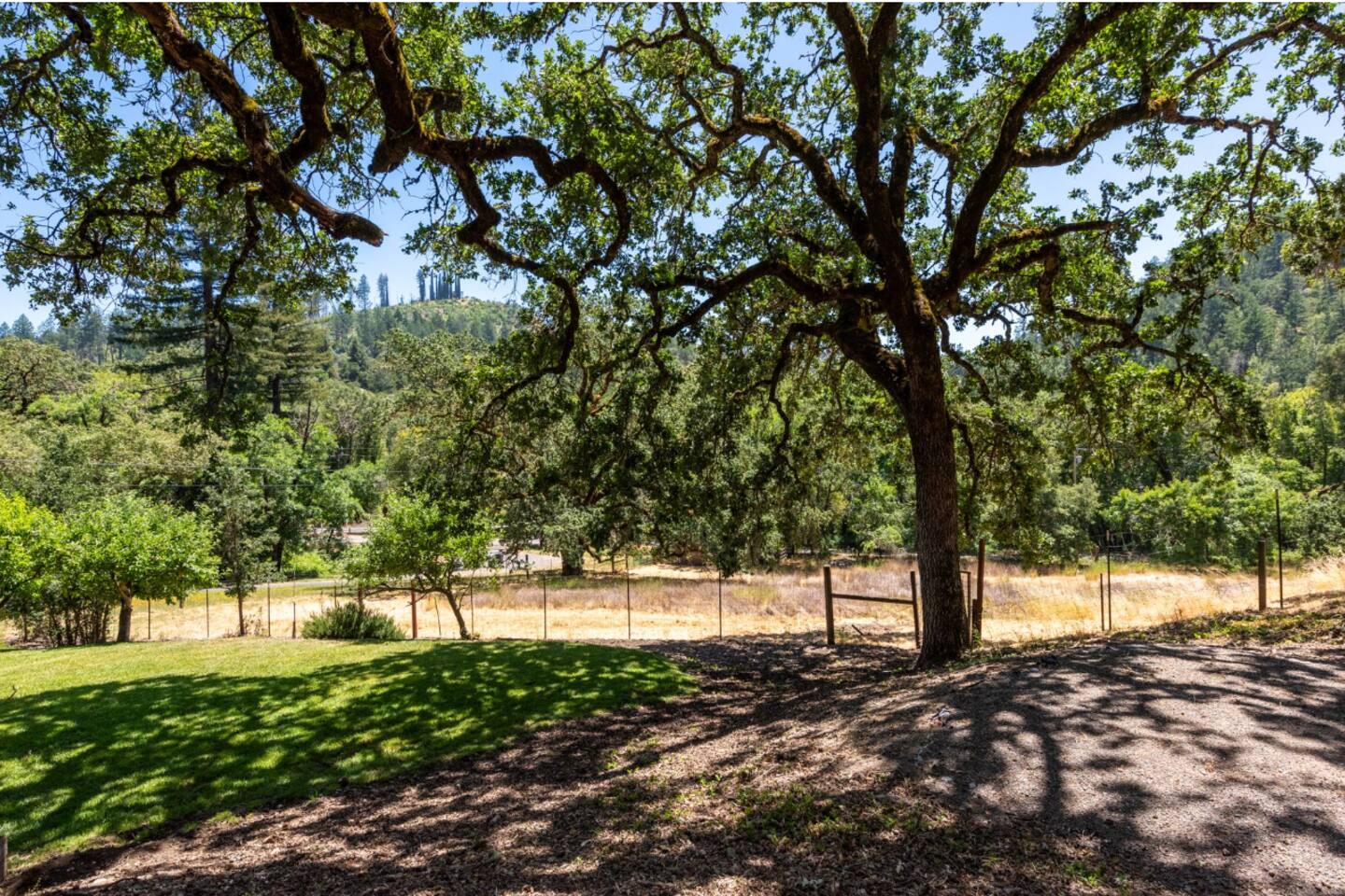 Wide, open lawn—perfect for picnics, games, or simply basking in the sunshine.