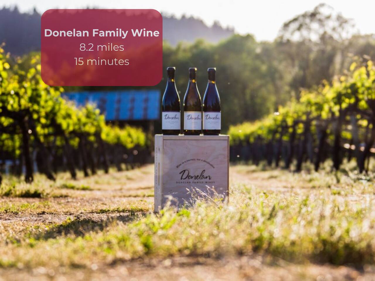 Raise a glass to exquisite flavors and family traditions at Donelan Family Wines!