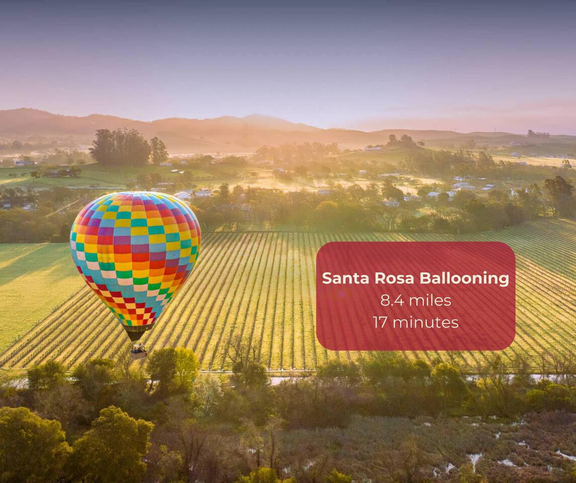 Soar high above Santa Rosa—unforgettable views await in a hot air balloon!