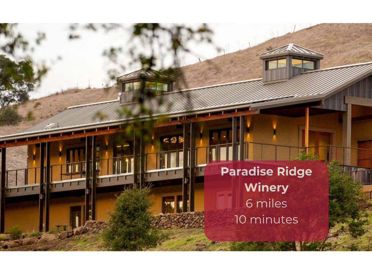 Discover breathtaking views and exceptional wines at Paradise Ridge Winery—your perfect escape for relaxation and inspiration!