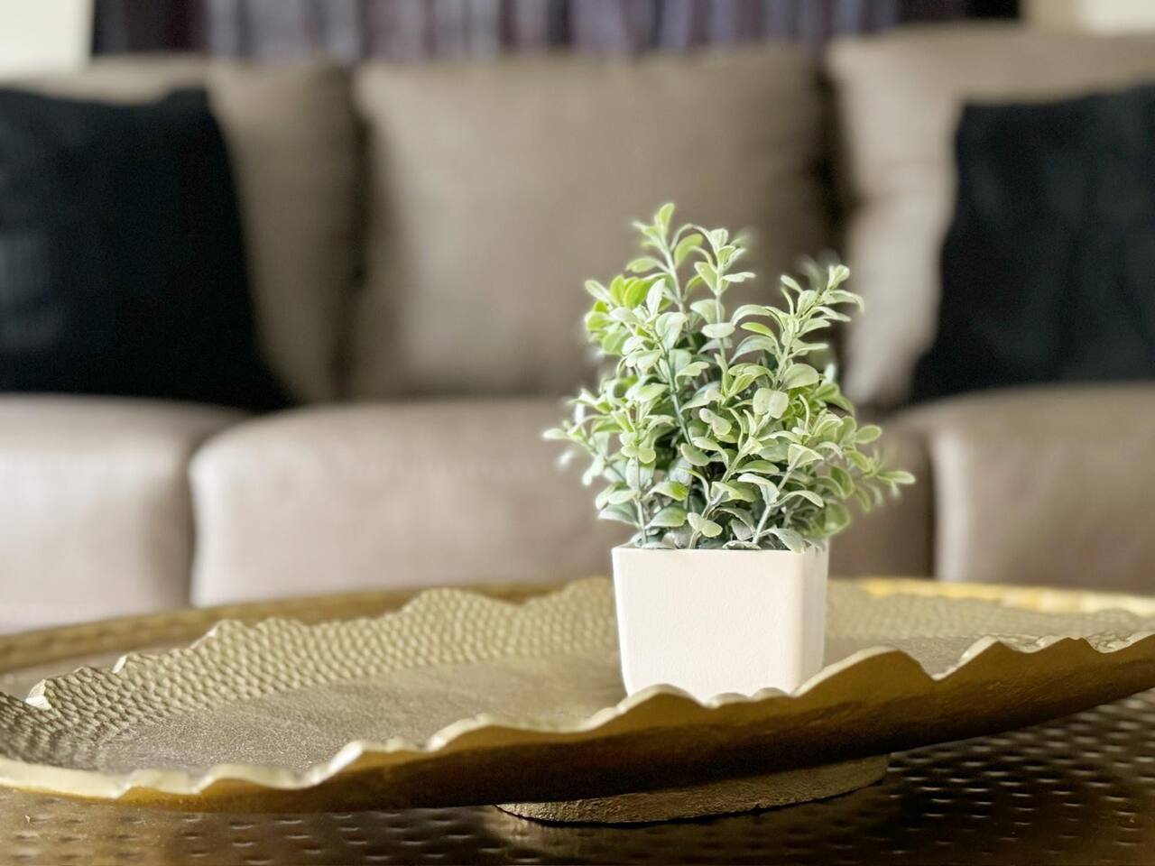 Parkland Home | KING 2BD/1BA Townhome in Ev