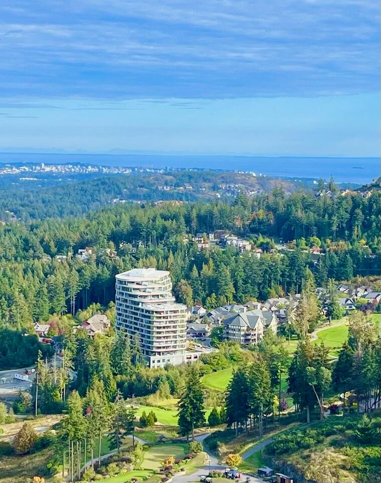 The Oasis at One Bear Mountain