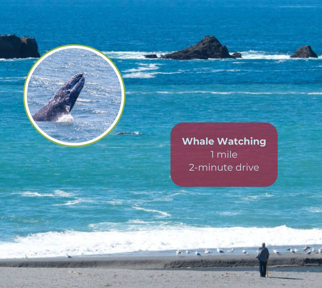 January to May is the best time for whale watching. Don't forget your binoculars!

