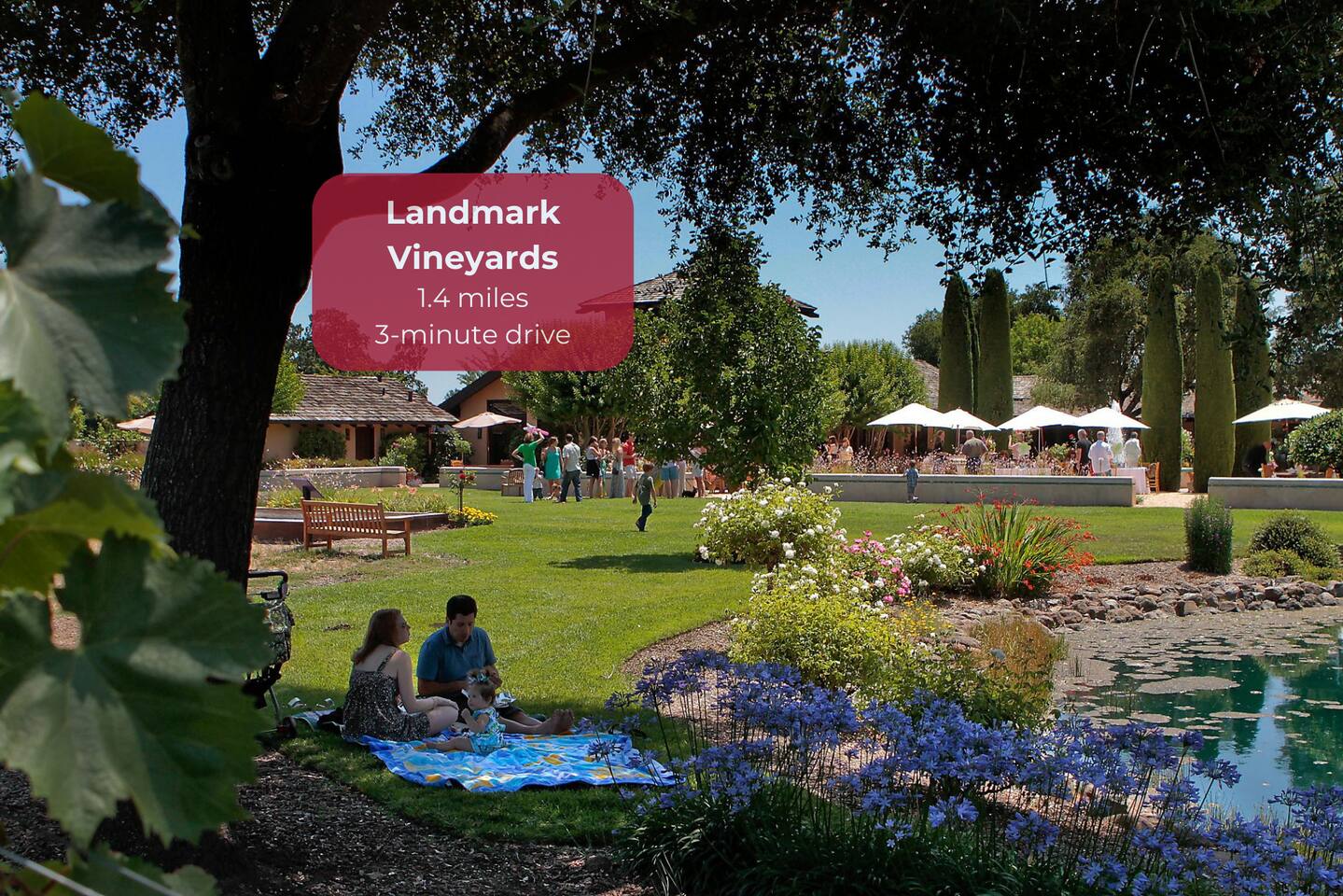 Savor world-class Chardonnay and Pinot Noir while enjoying peaceful vineyard landscapes.