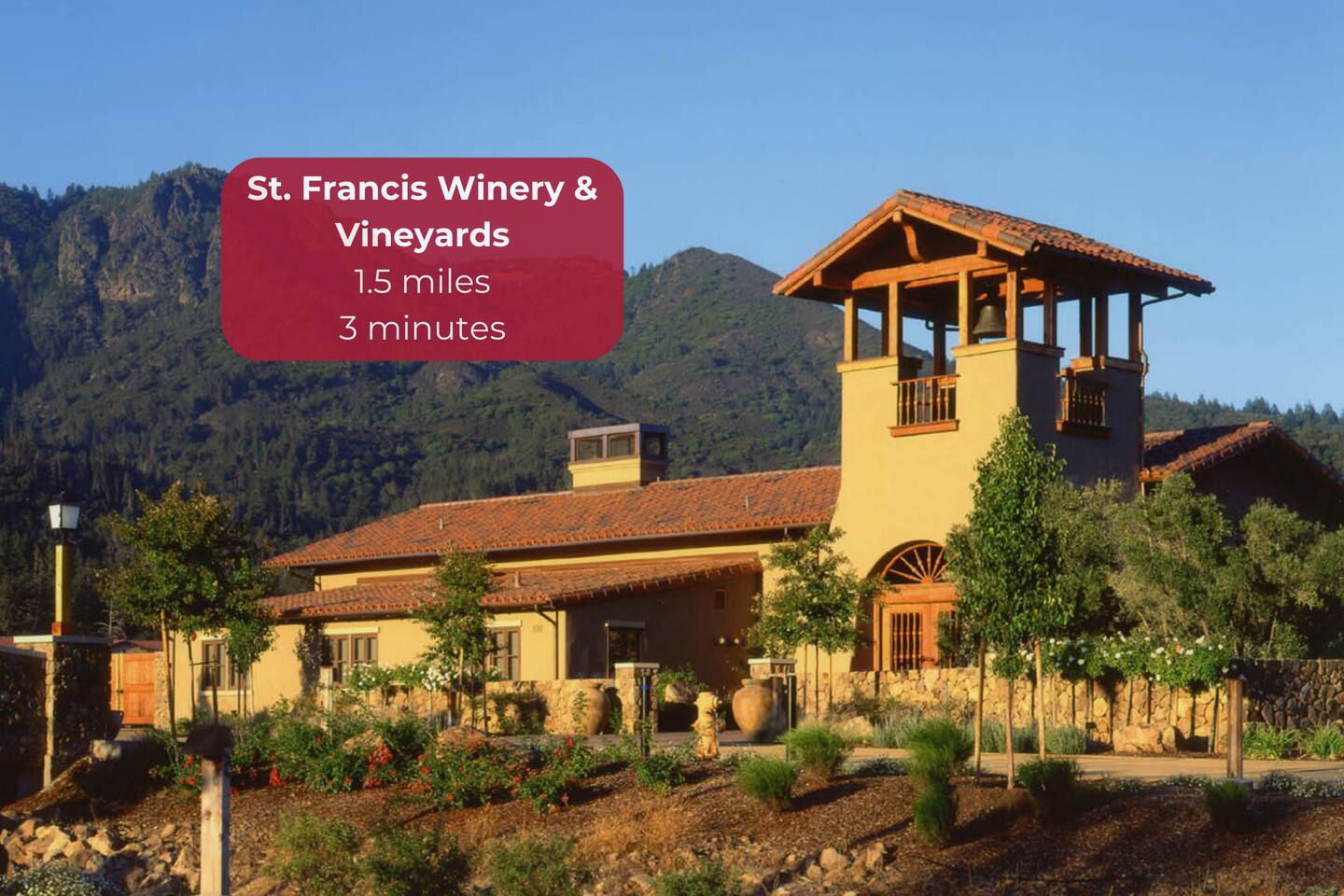  Indulge in award-winning wines and stunning vineyard views, perfect for a relaxing afternoon.