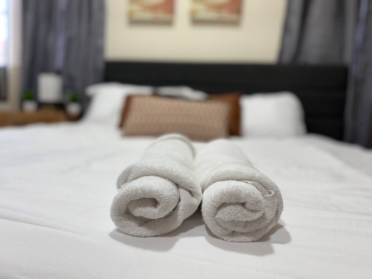 The Cardinal 808 B | KING 1BD/1BA Apt