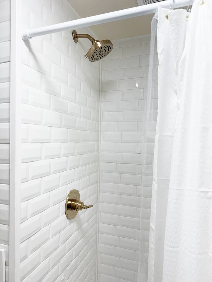 The Cardinal 808 B | KING 1BD/1BA Apt