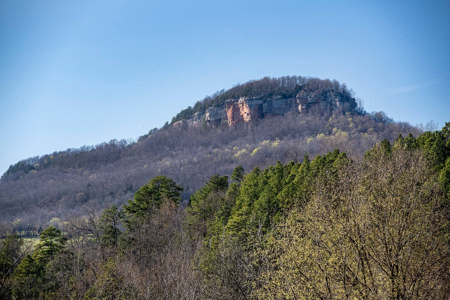 Misty Creek Cabin | Enjoy Ozarks & Buffalo River