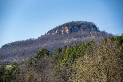 Misty Creek Cabin | Enjoy Ozarks & Buffalo River