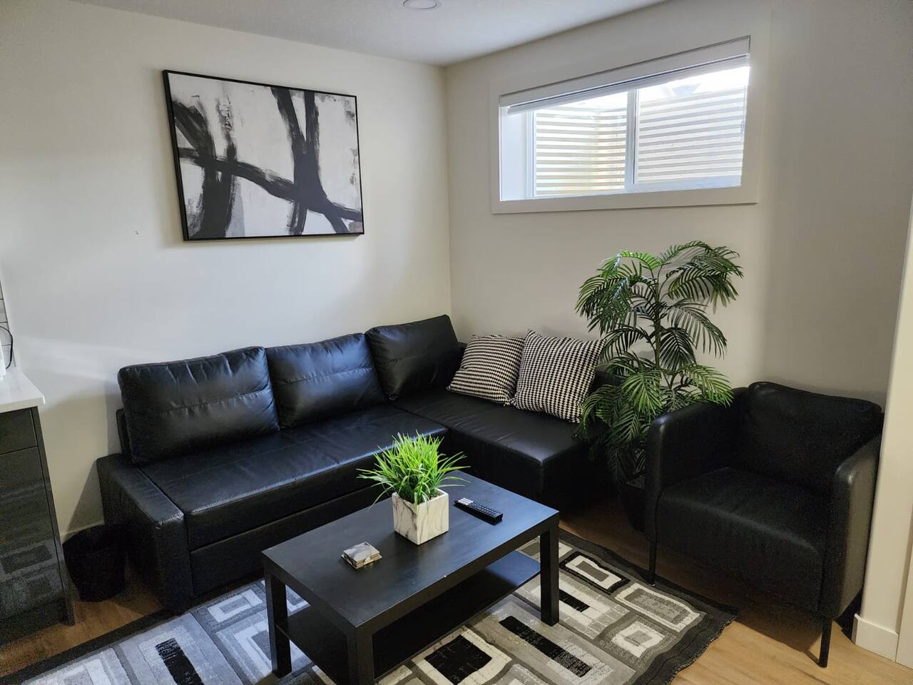 Super luxury legal suite.in suit washer and dryer , WIFI , Smart TV